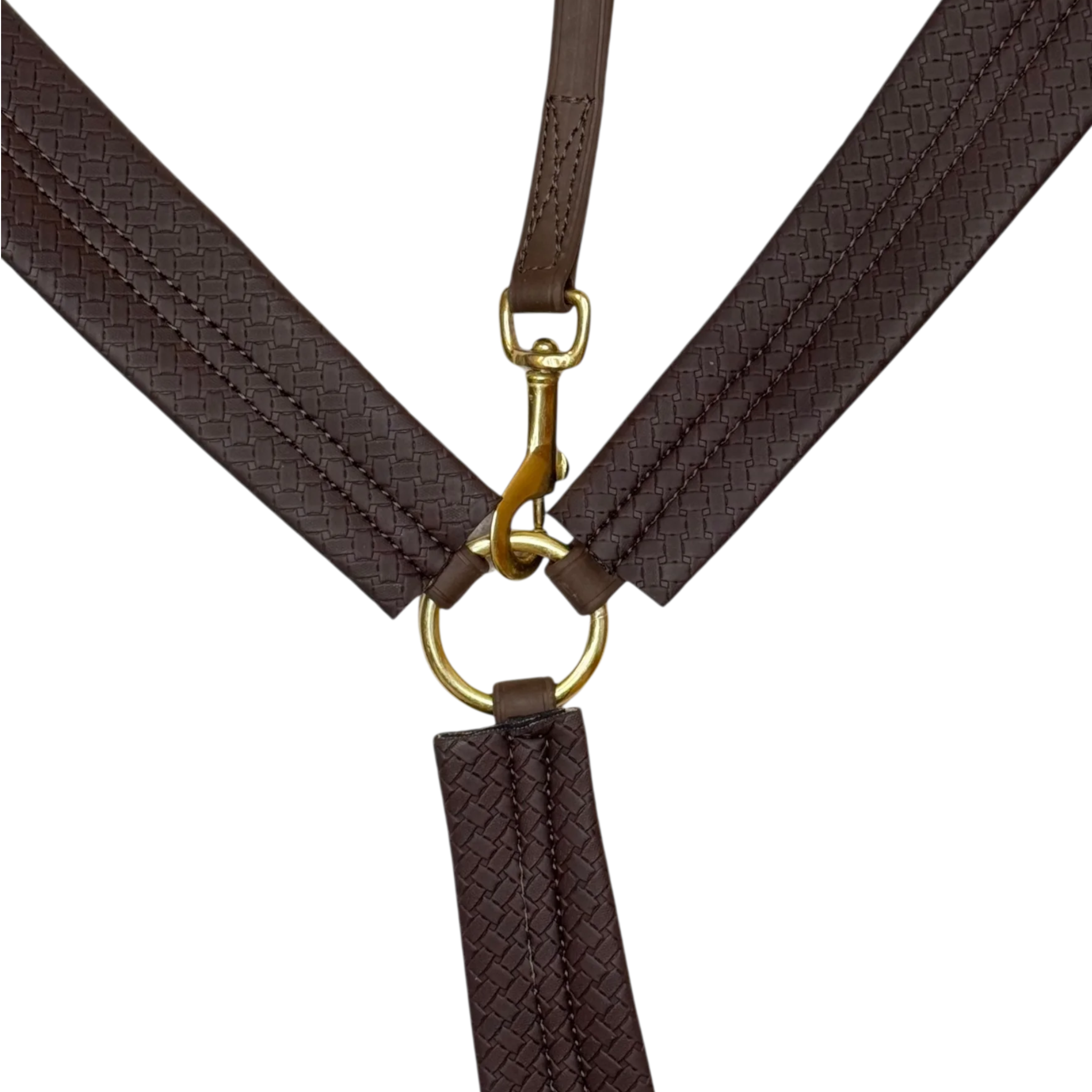 TdeT - Collier de chasse Biotack® marron foncé