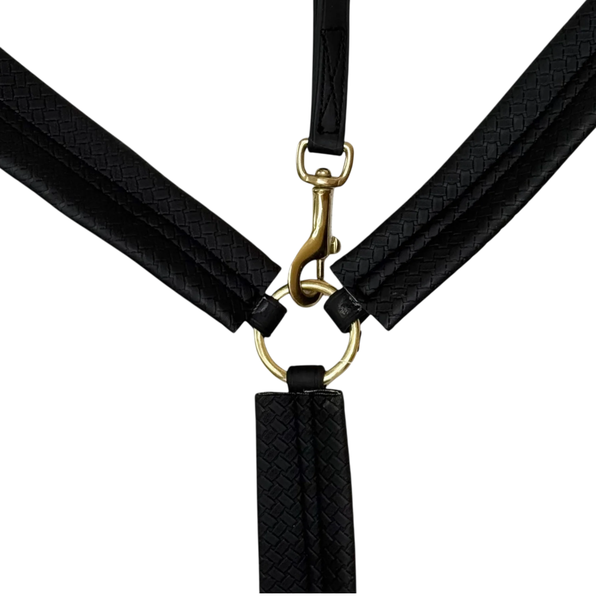 TdeT - Collier de chasse Biotack® noir