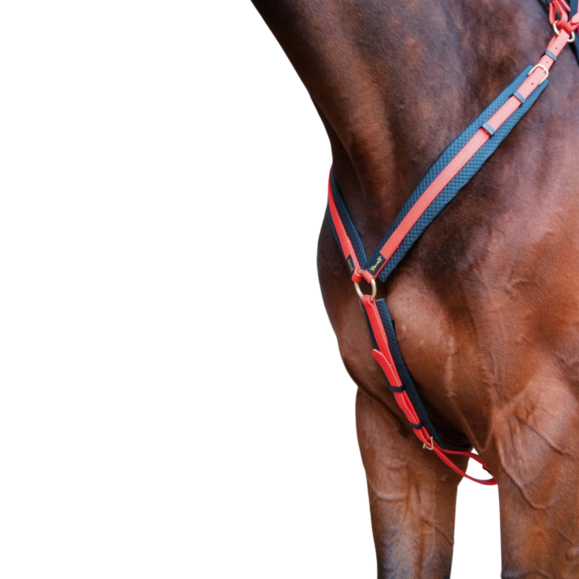 TdeT - Collier de chasse Biotack® orange