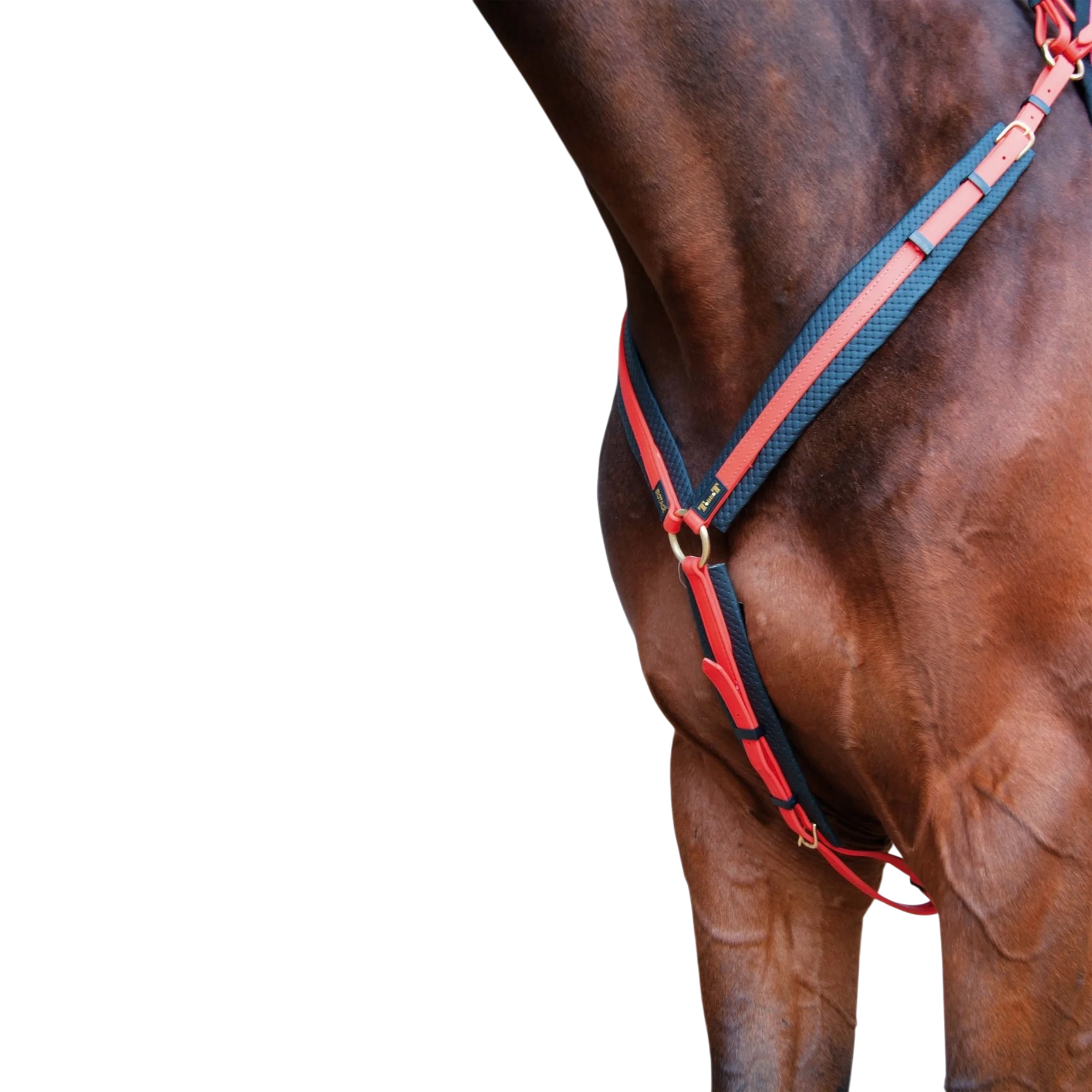 TdeT - Collier de chasse Biotack® orange