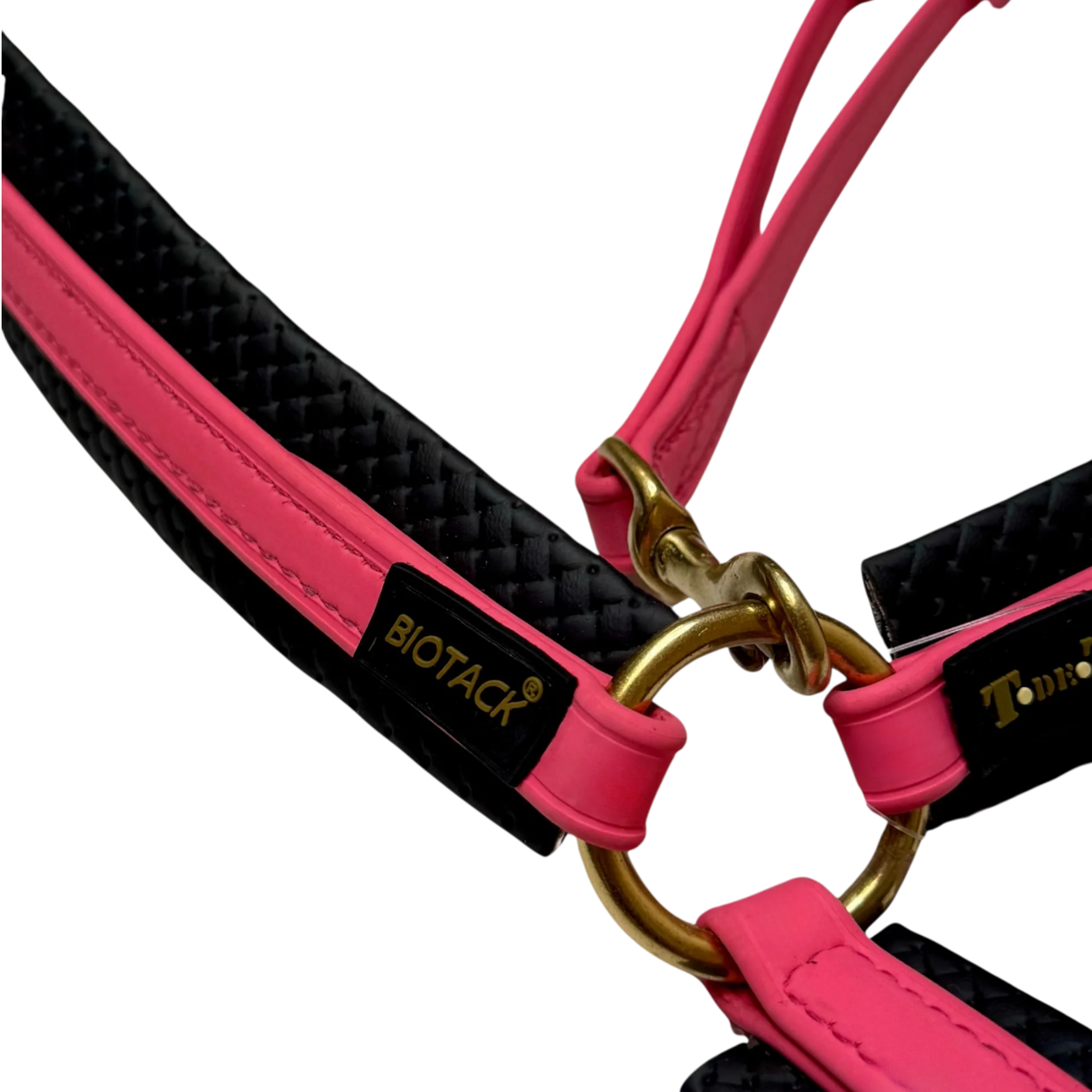 TdeT - Collier de chasse Biotack® rose