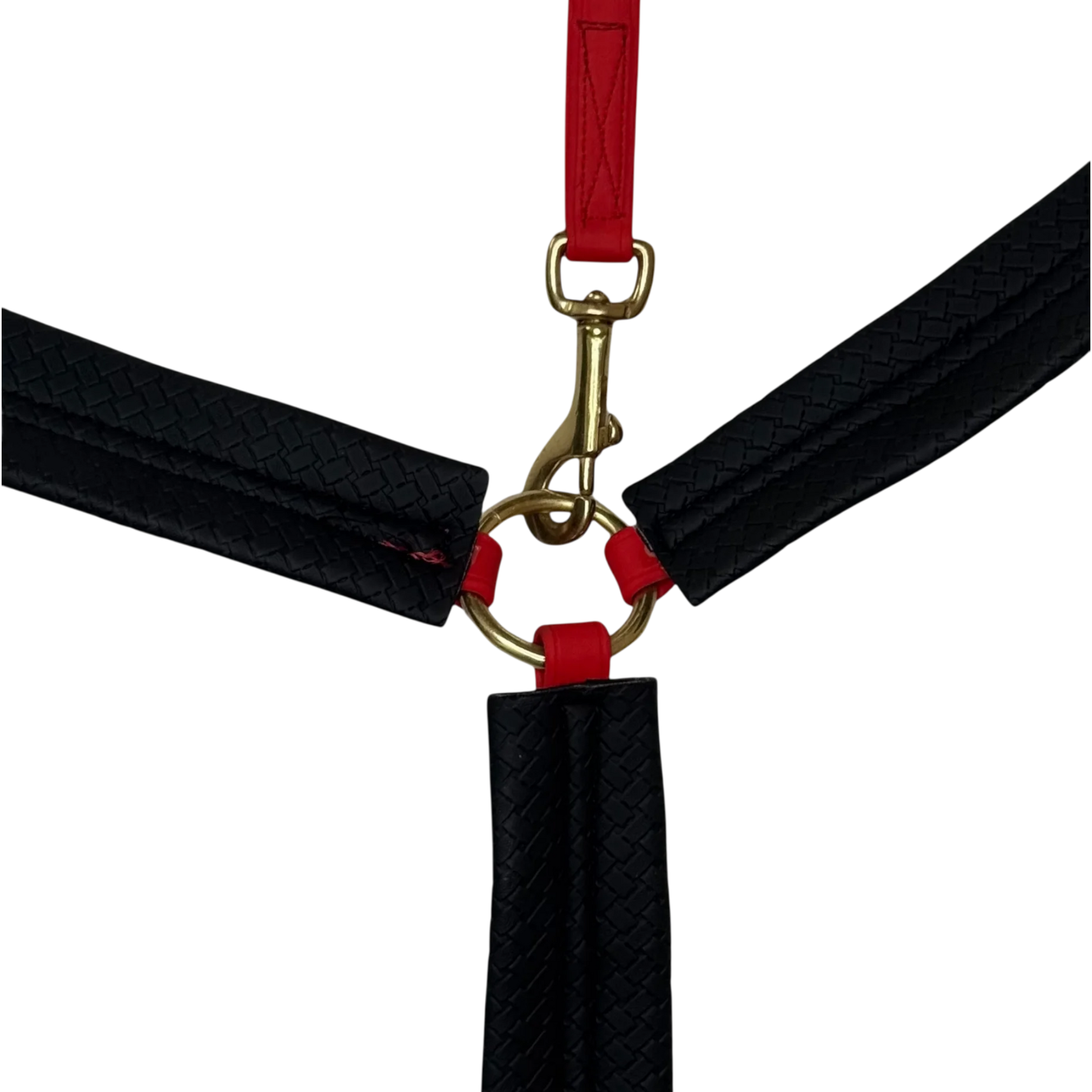 TdeT - Collier de chasse Biotack® rouge