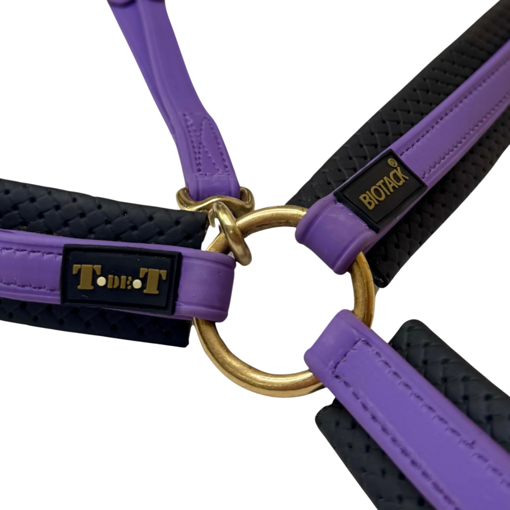 TdeT - Collier de chasse Biotack® violet