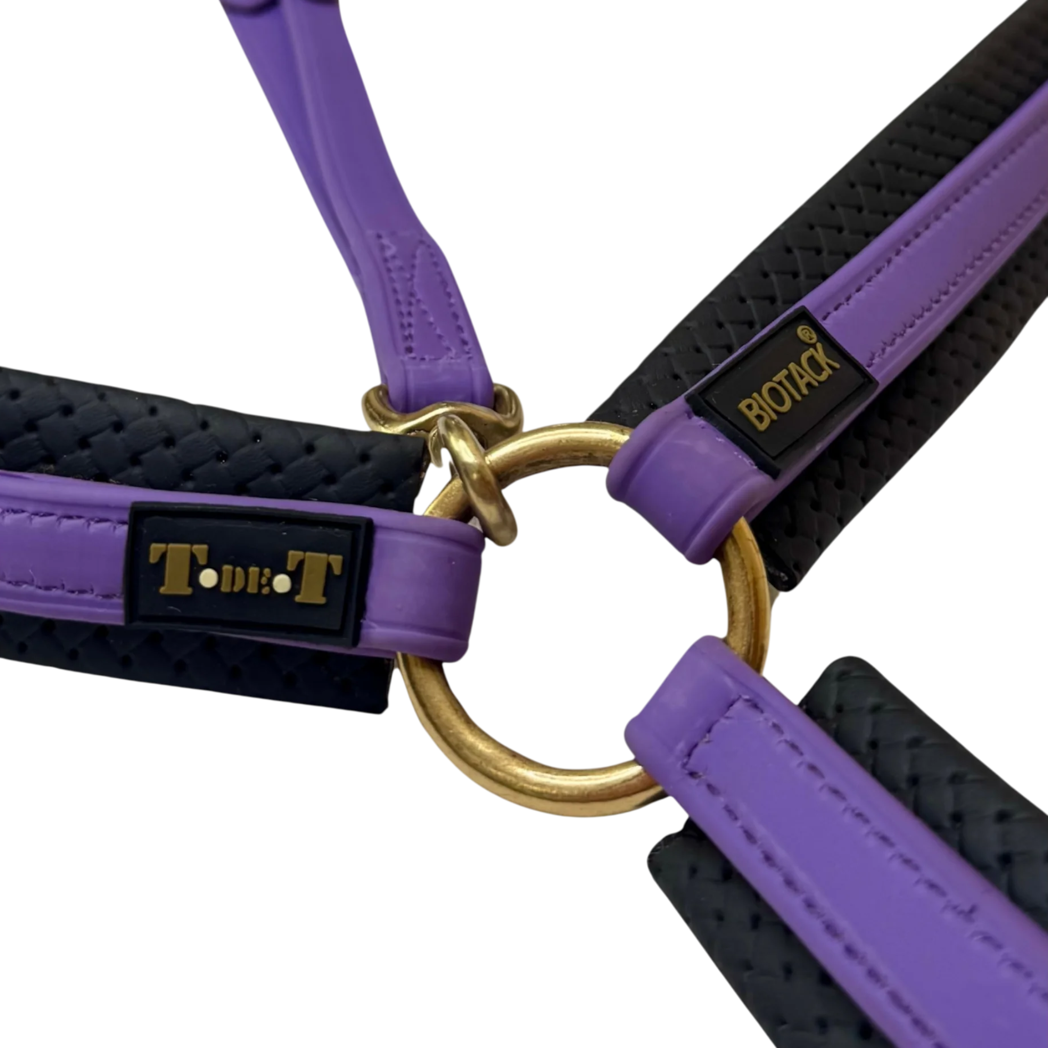 TdeT - Collier de chasse Biotack® violet