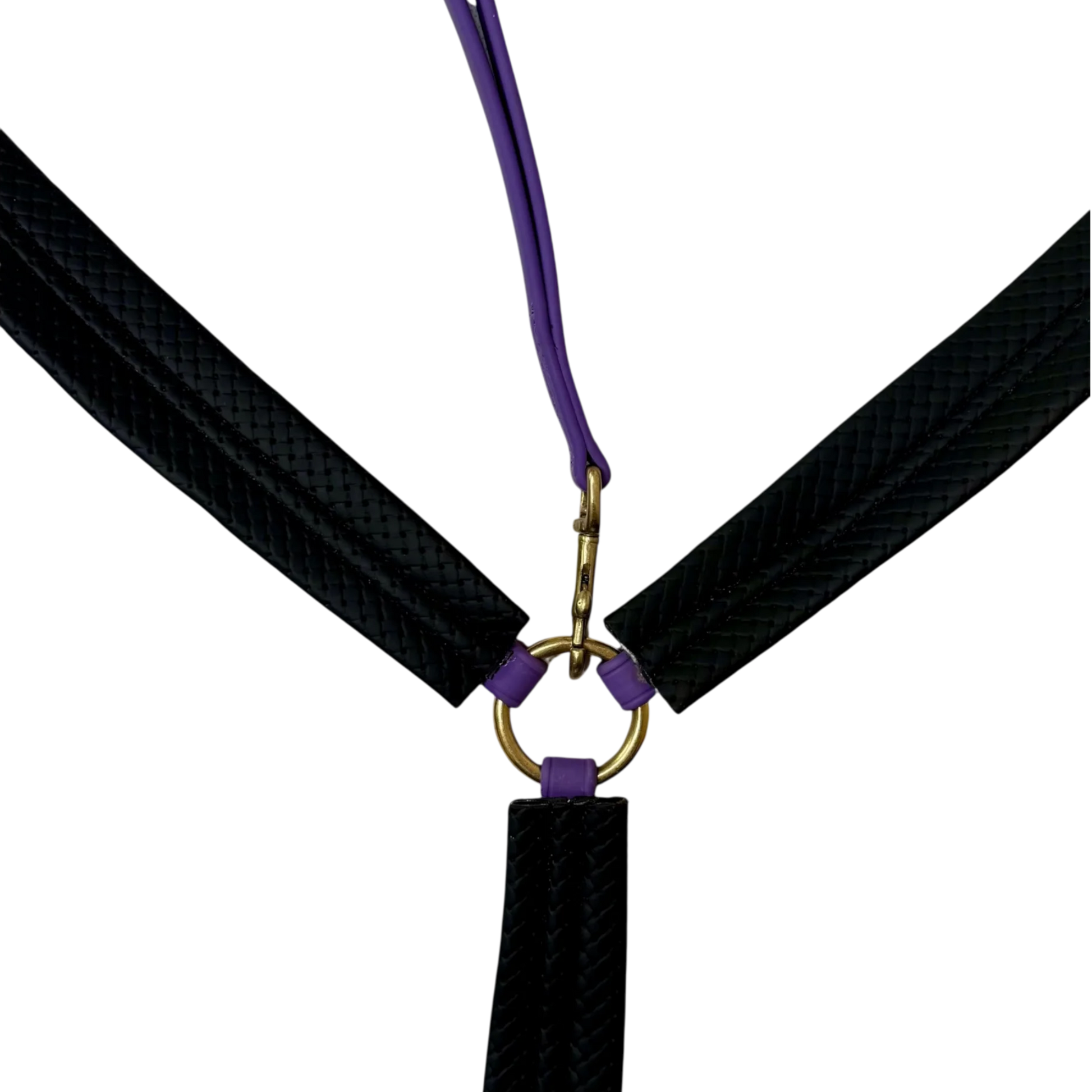 TdeT - Collier de chasse Biotack® violet