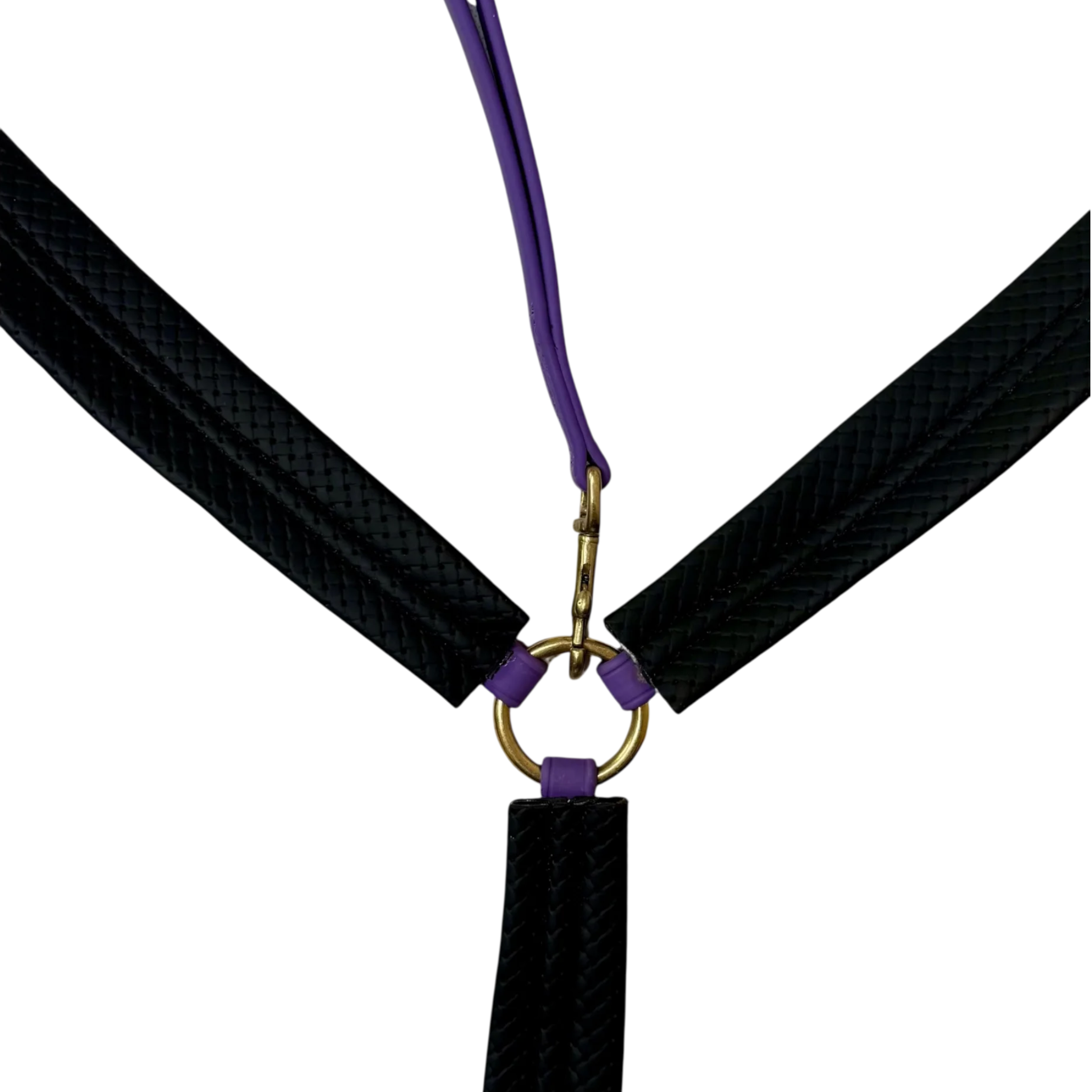 TdeT - Collier de chasse Biotack® violet