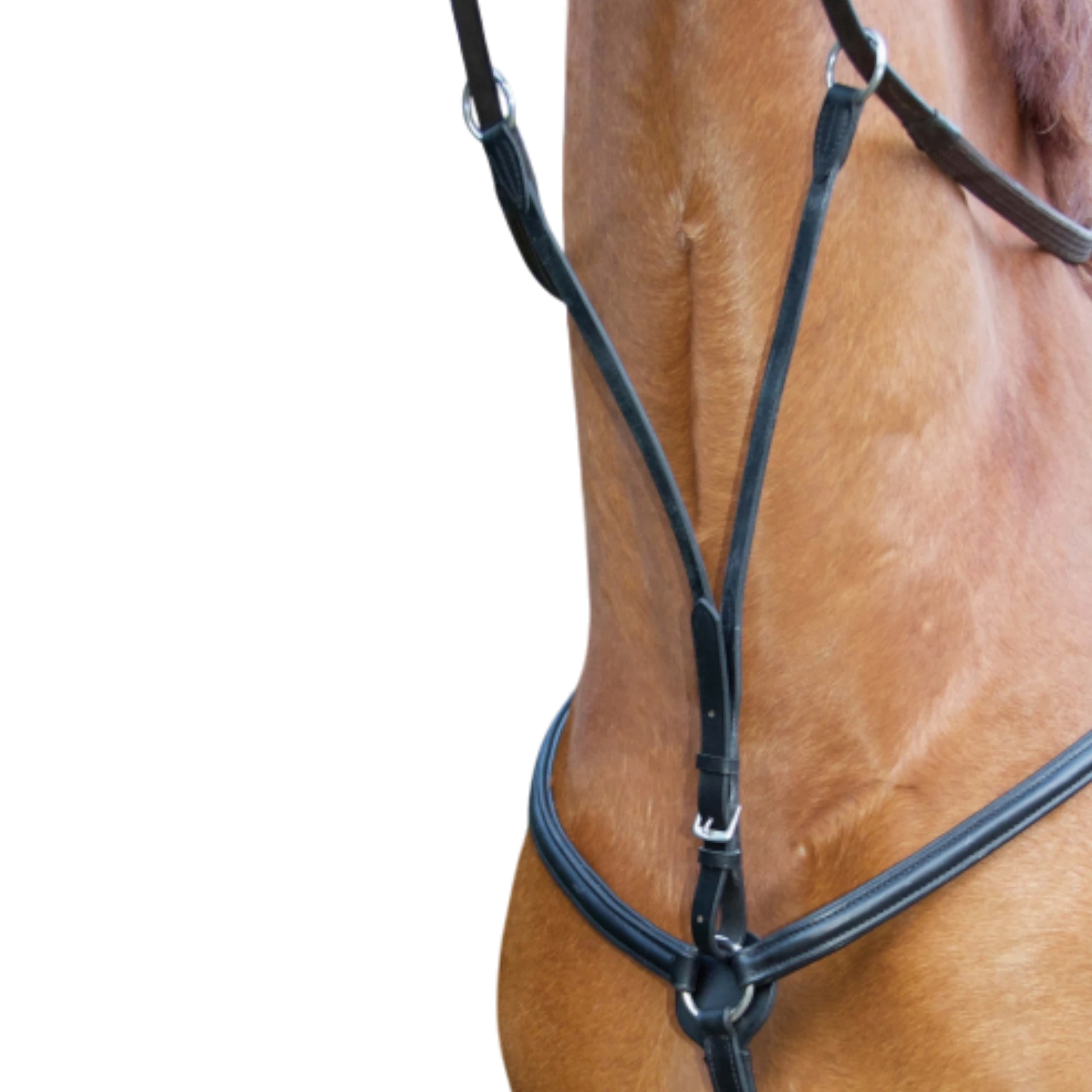 TdeT - Collier de chasse doublé noir