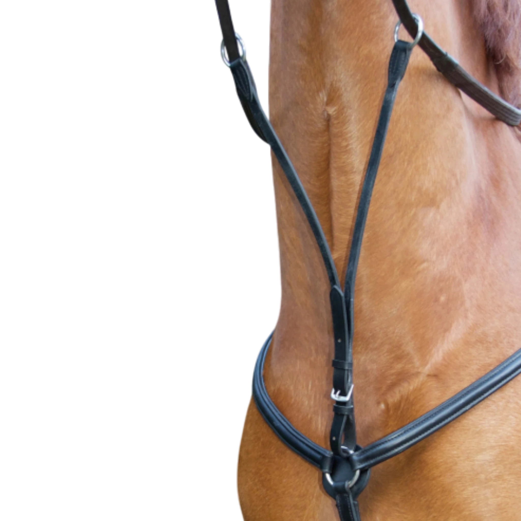 TdeT - Collier de chasse doublé noir