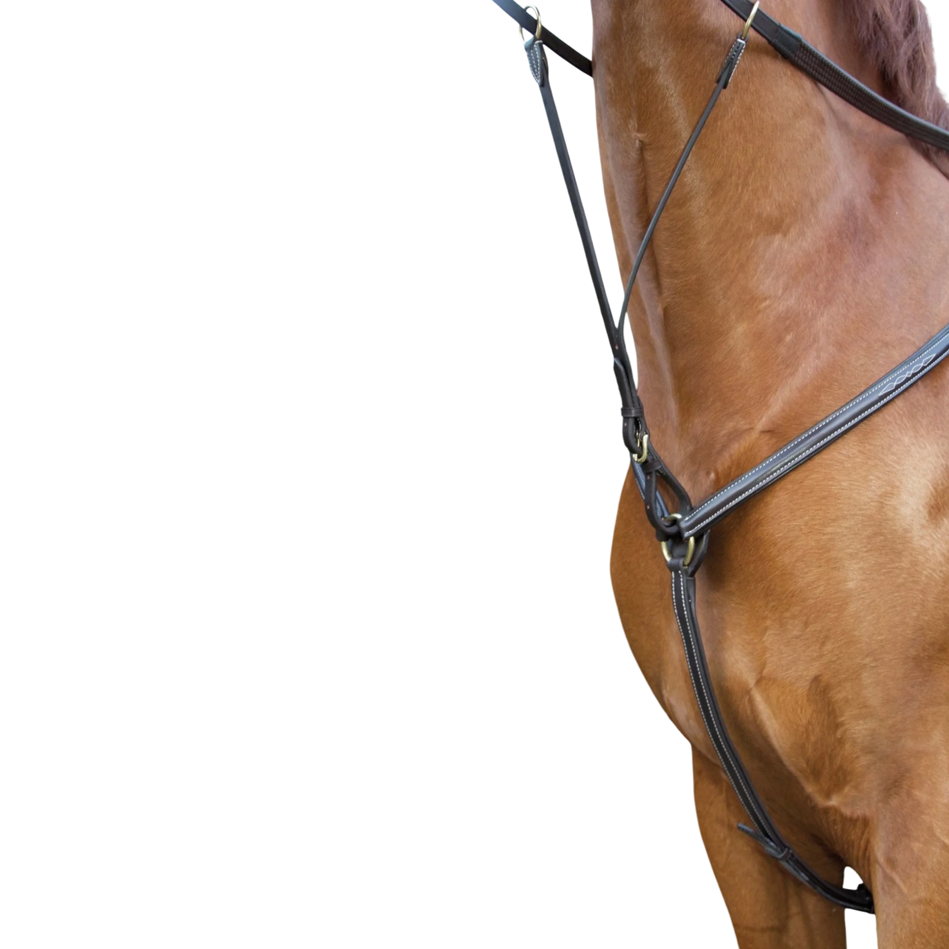 TdeT - Topstitched padded breastplate dark havana