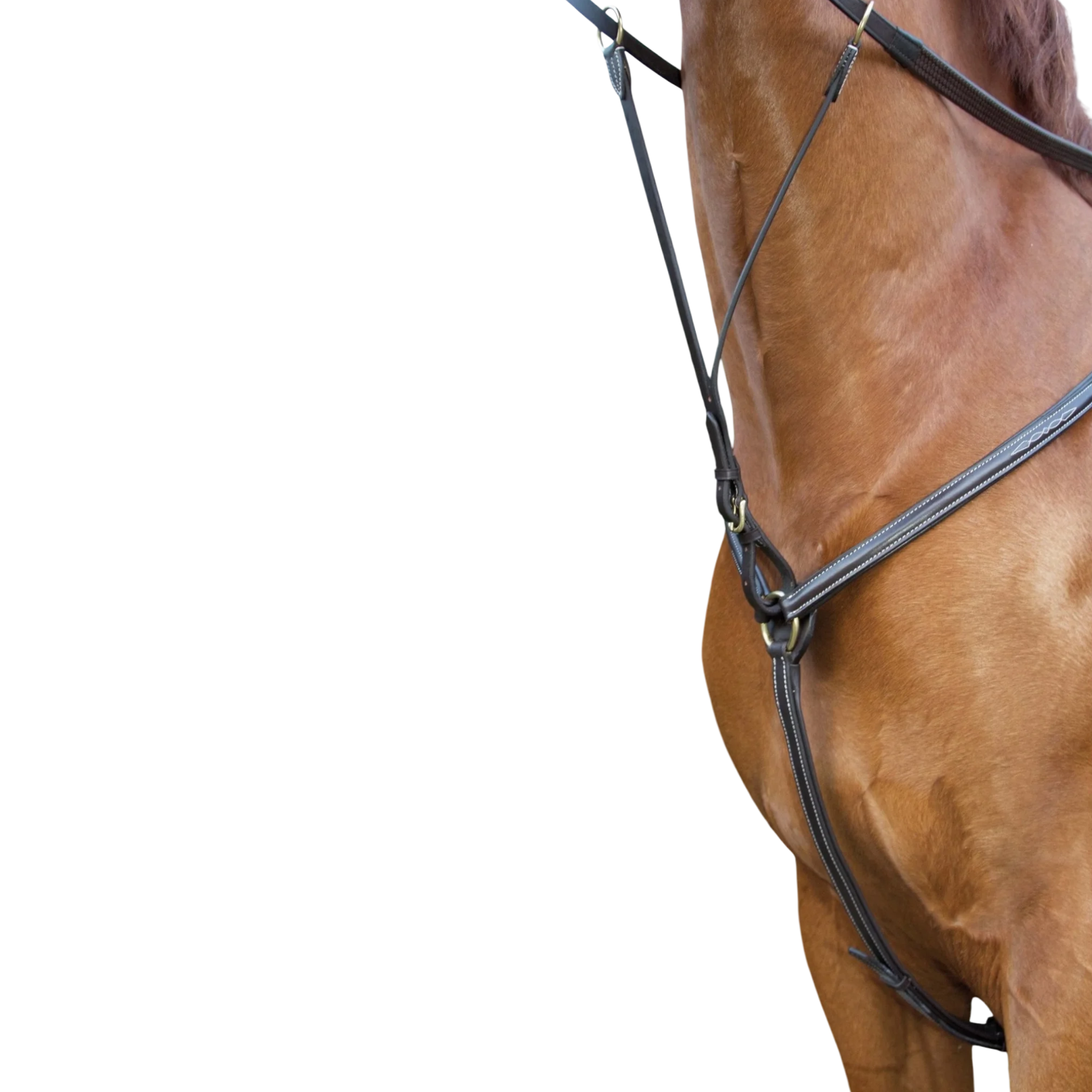 TdeT - Topstitched padded breastplate dark havana