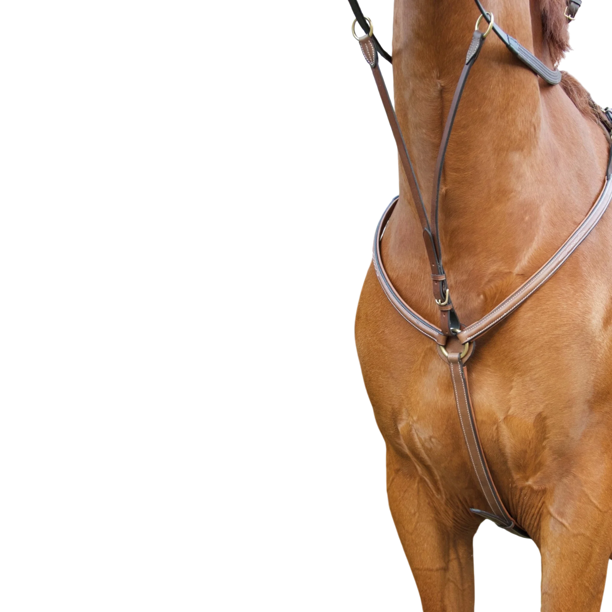 TdeT - Topstitched padded breastplate tobacco