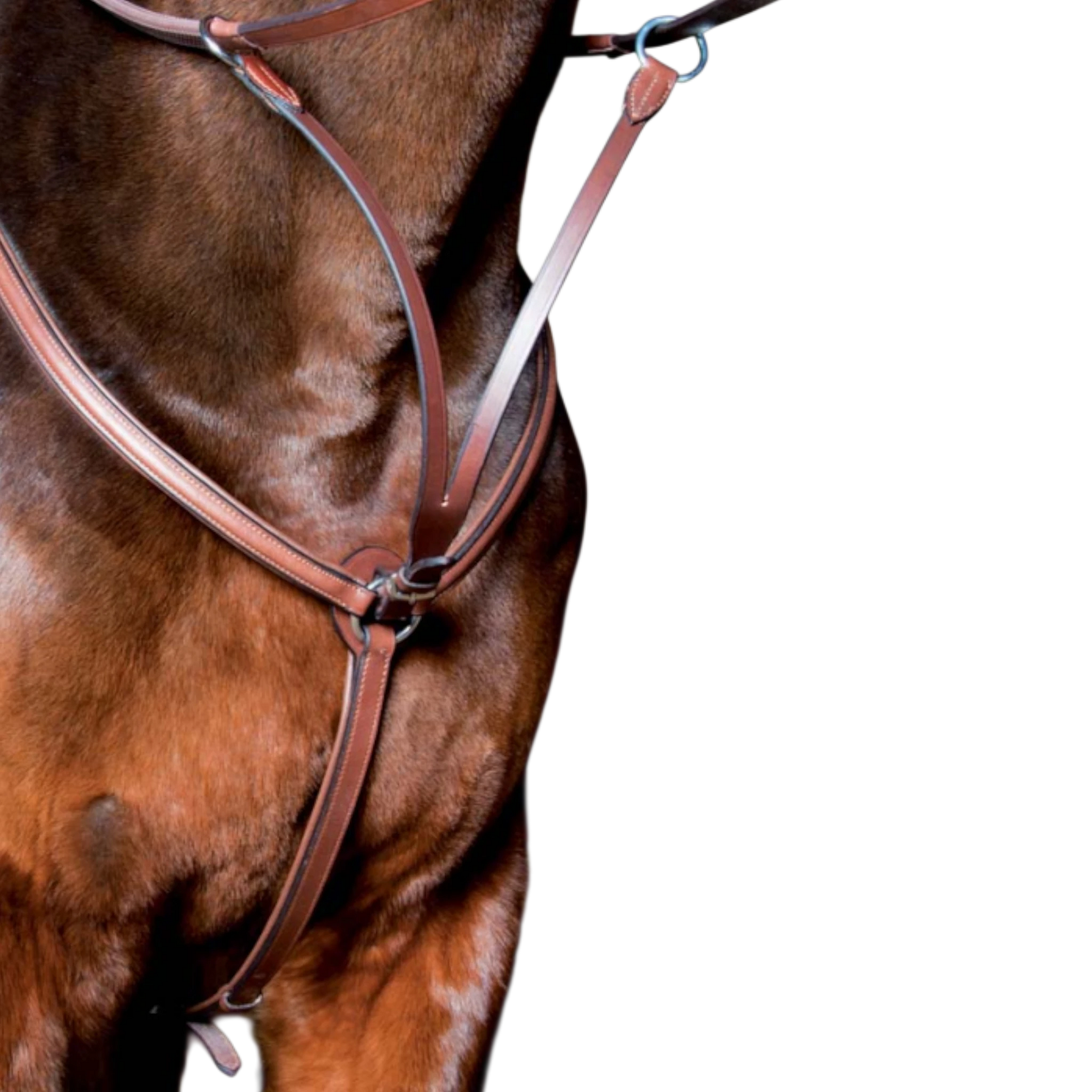 TdeT - Collier de chasse doublé tabac