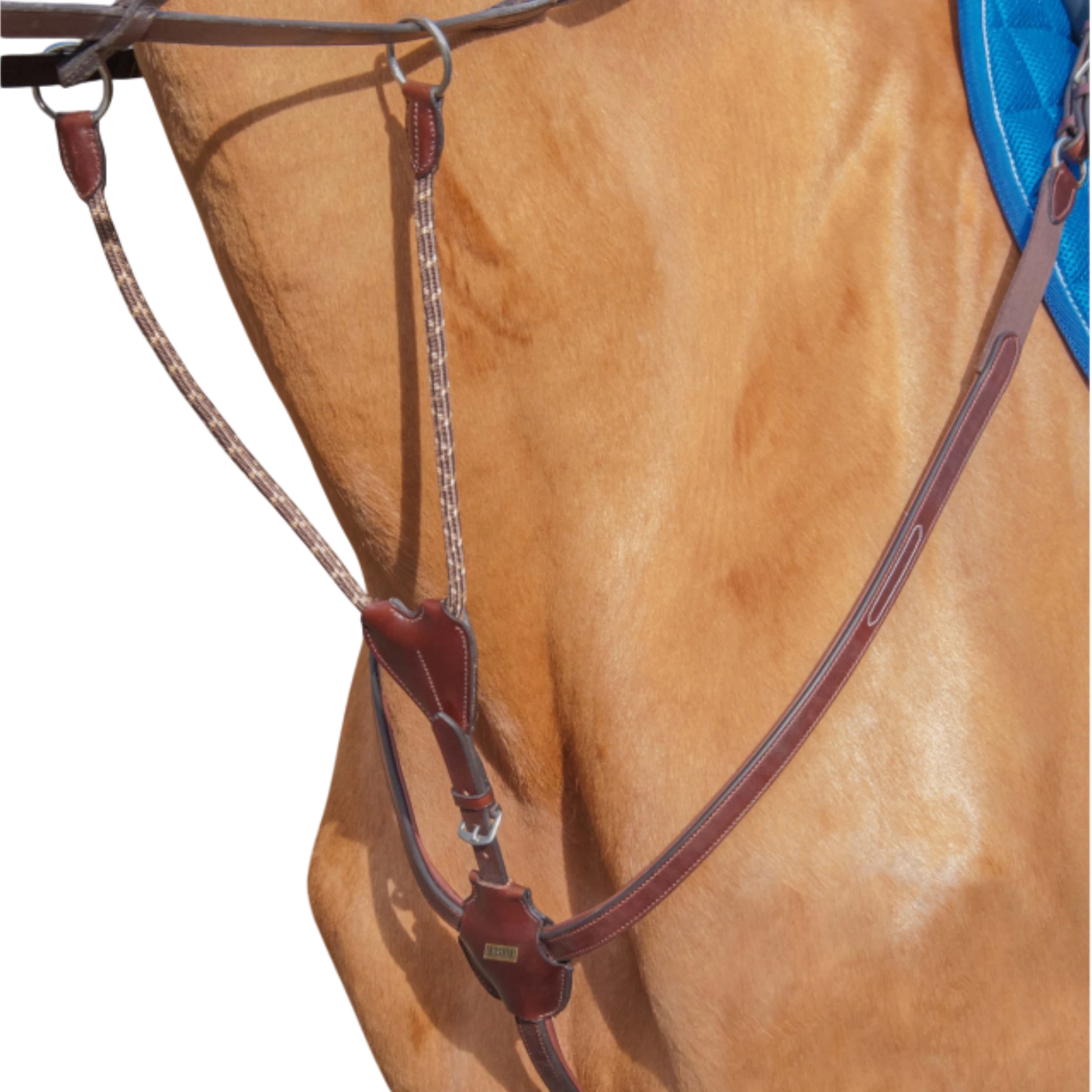 TdeT - Collier de chasse Luxe havane foncé