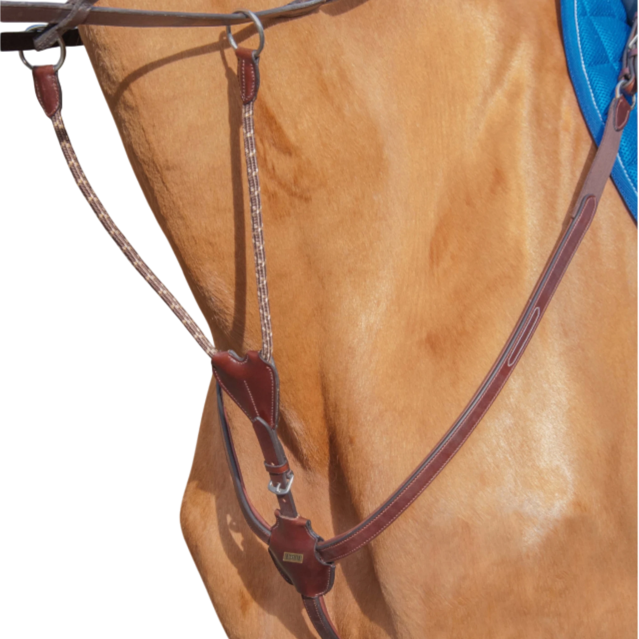 TdeT - Collier de chasse Luxe havane foncé