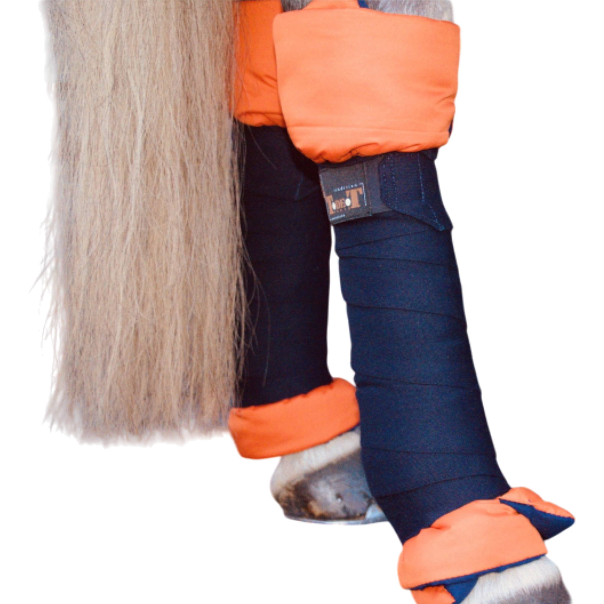 TdeT - Cotons américains marine orange