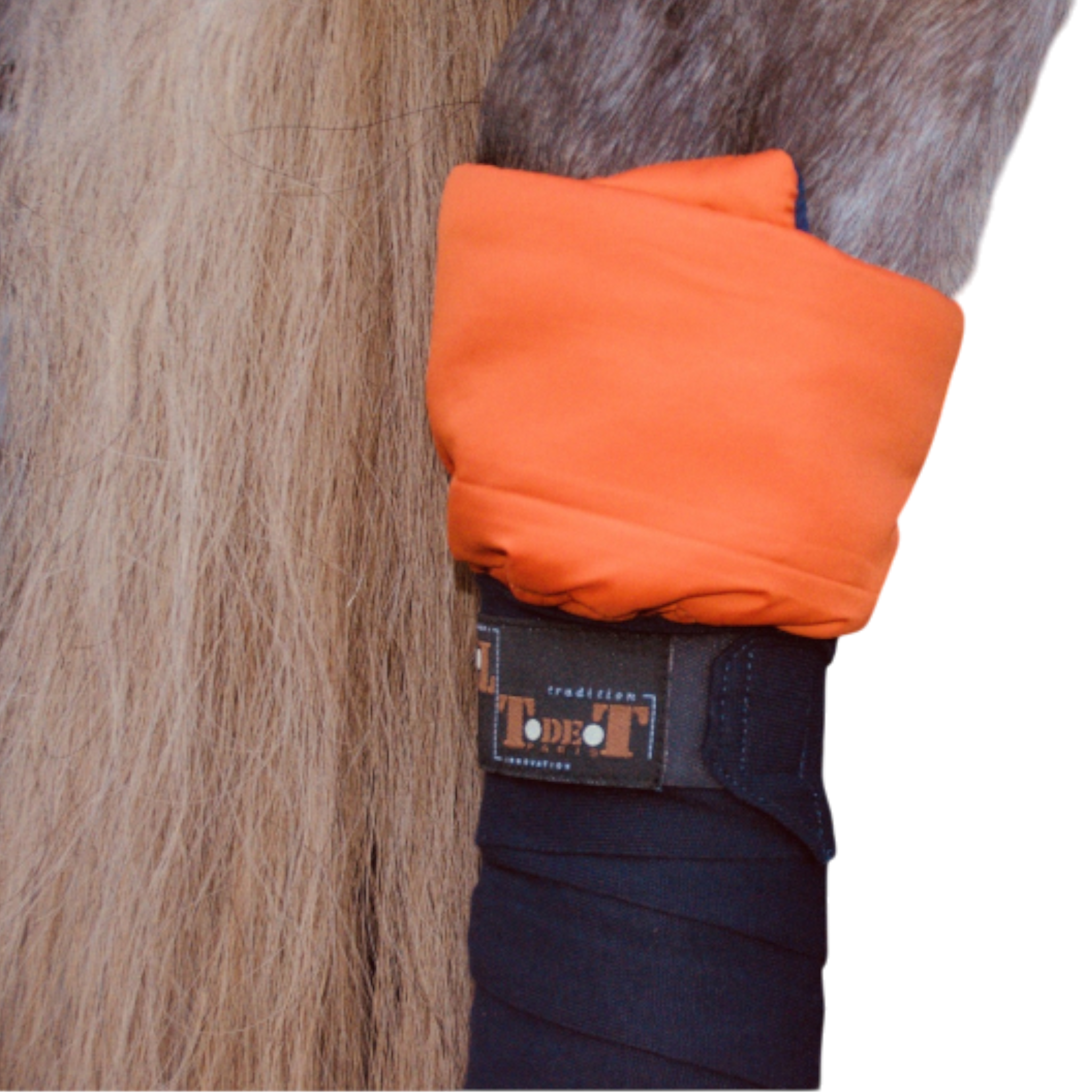 TdeT - Cotons américains marine orange