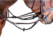 TdeT - Enrênement Howlett havane foncé