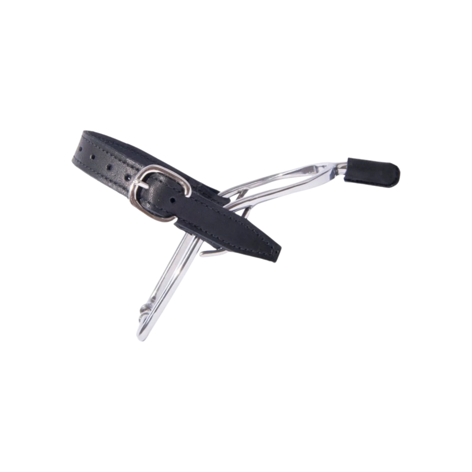 TdeT - Éperons TdeT inox embout cuir