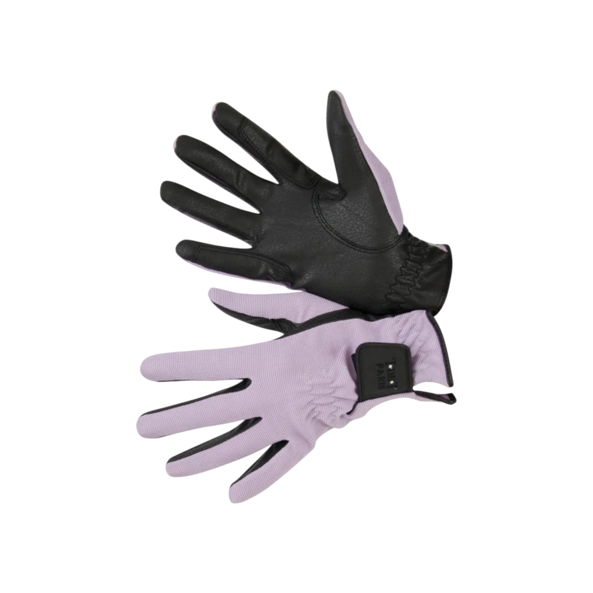 TdeT - Gants d'équitation Club violet
