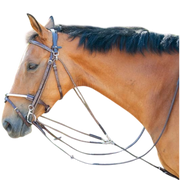 TdeT - Gogue classique havane foncé