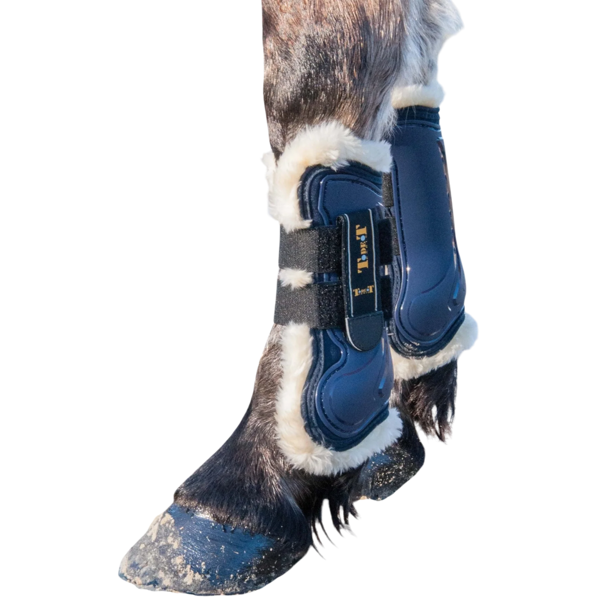 TdeT - Guêtres Design mouton marine