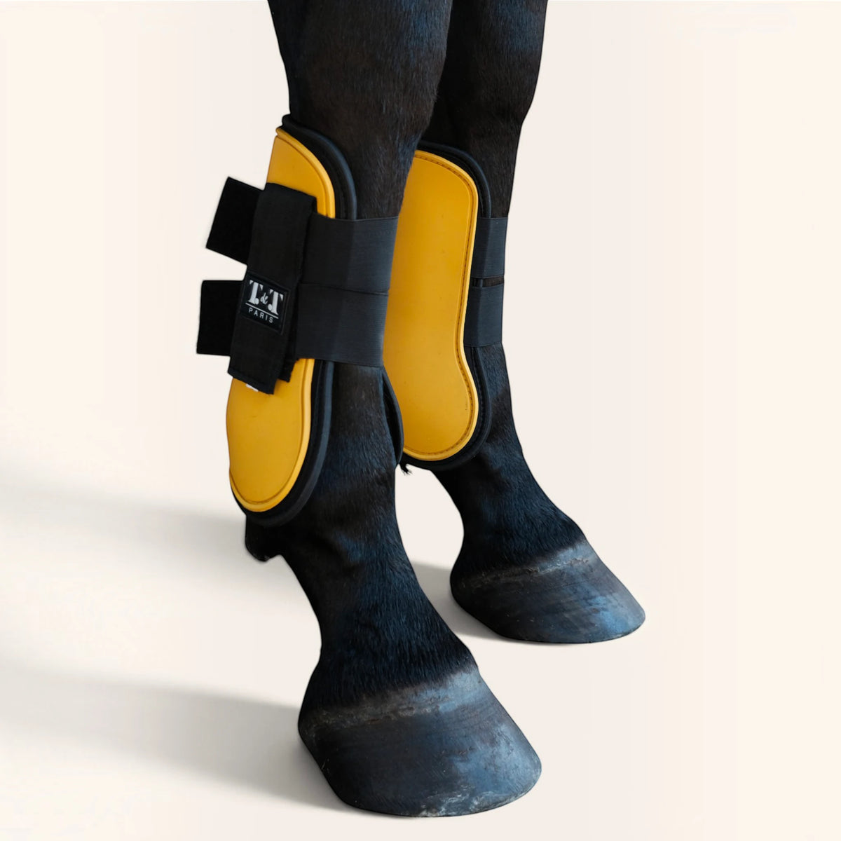 TdeT - Guêtres First jaune