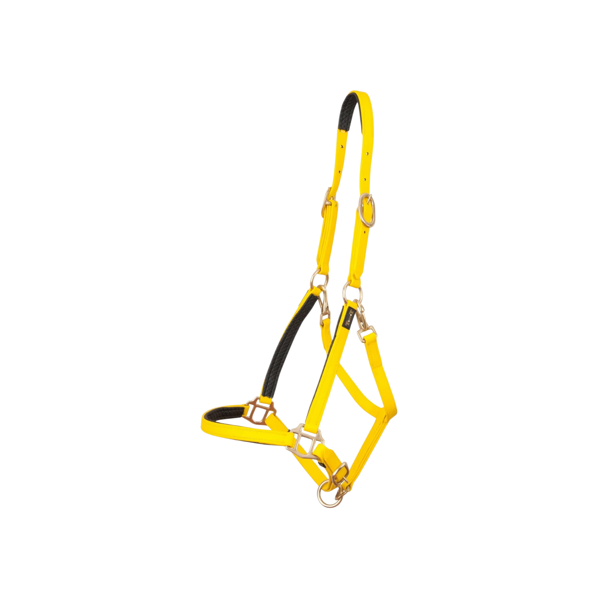 TdeT - Licol Biotack® jaune