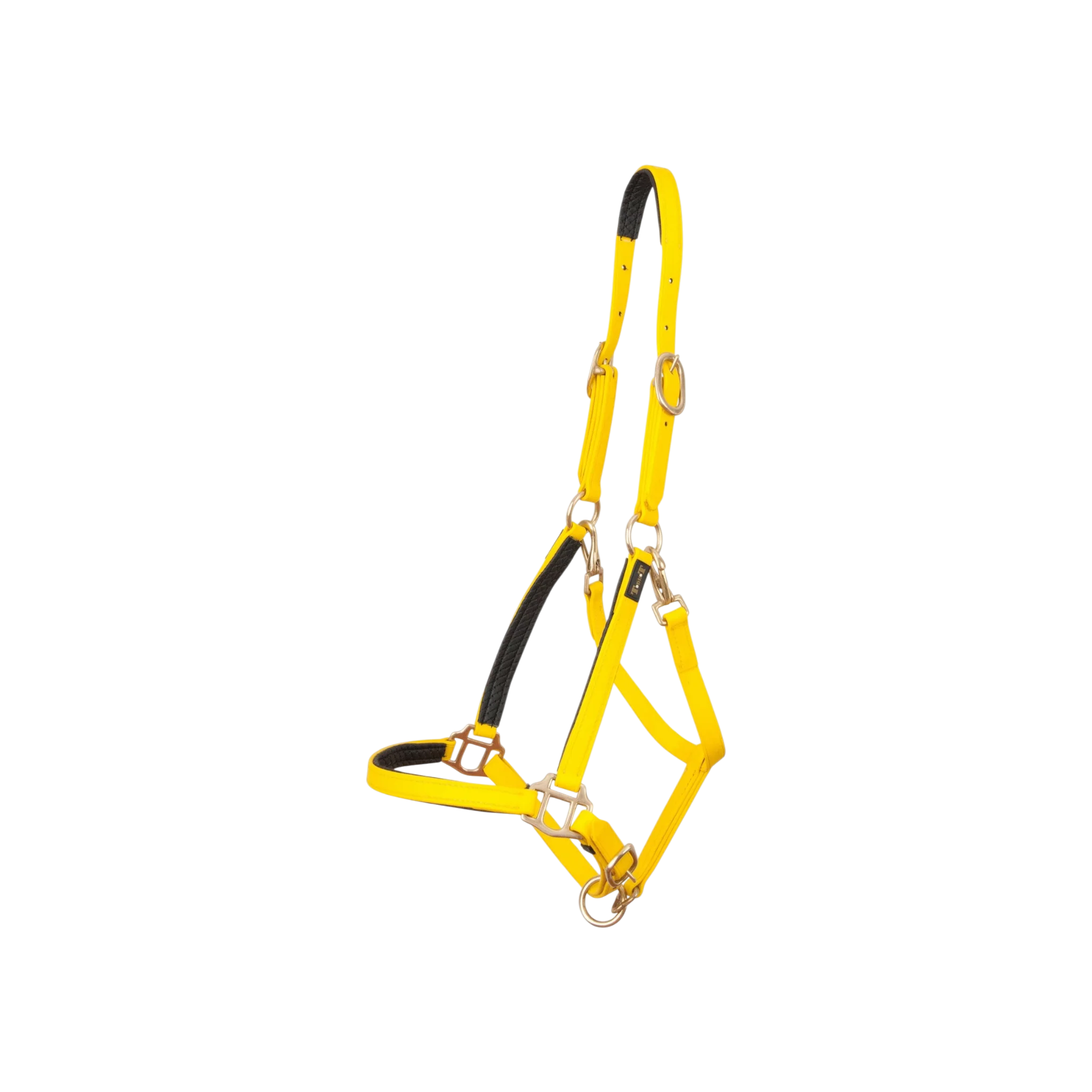 TdeT - Licol Biotack® jaune