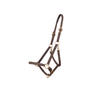 TdeT - Licol Biotack® marron foncé