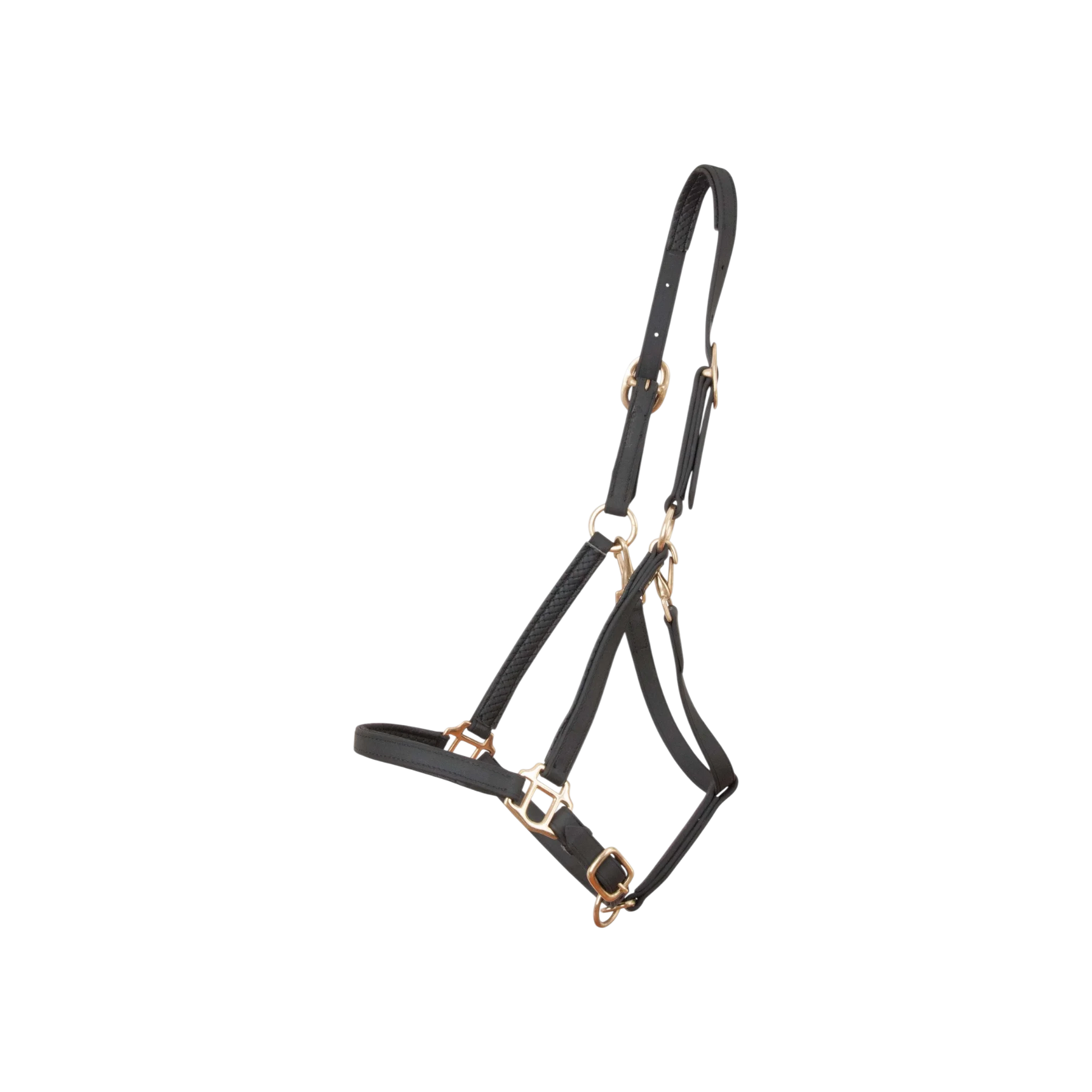 TdeT - Licol Biotack® noir