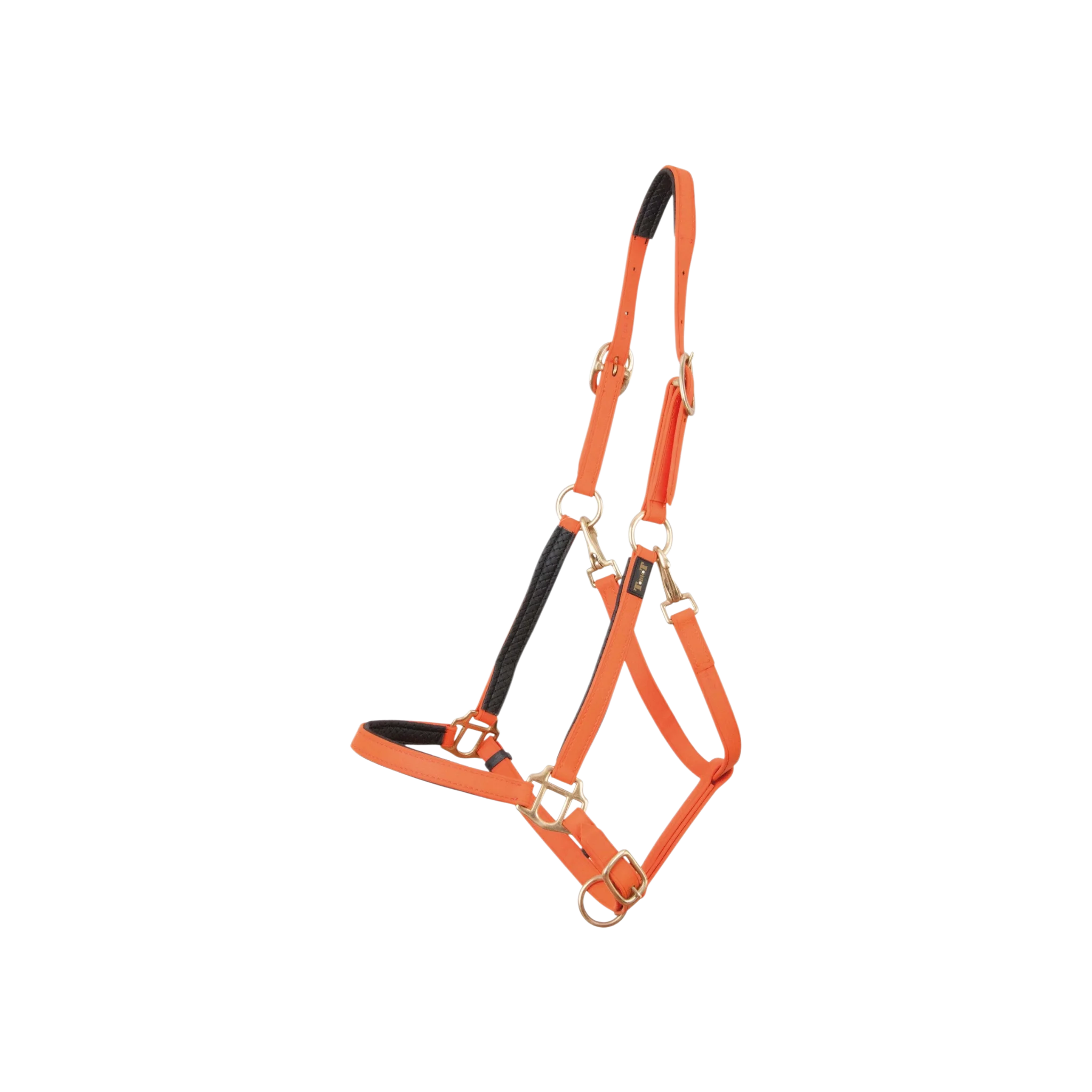 TdeT - Licol Biotack® orange