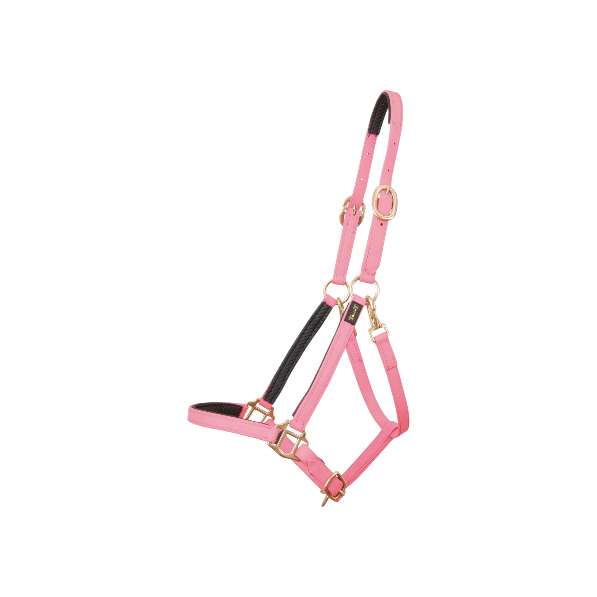 TdeT - Licol Biotack® rose