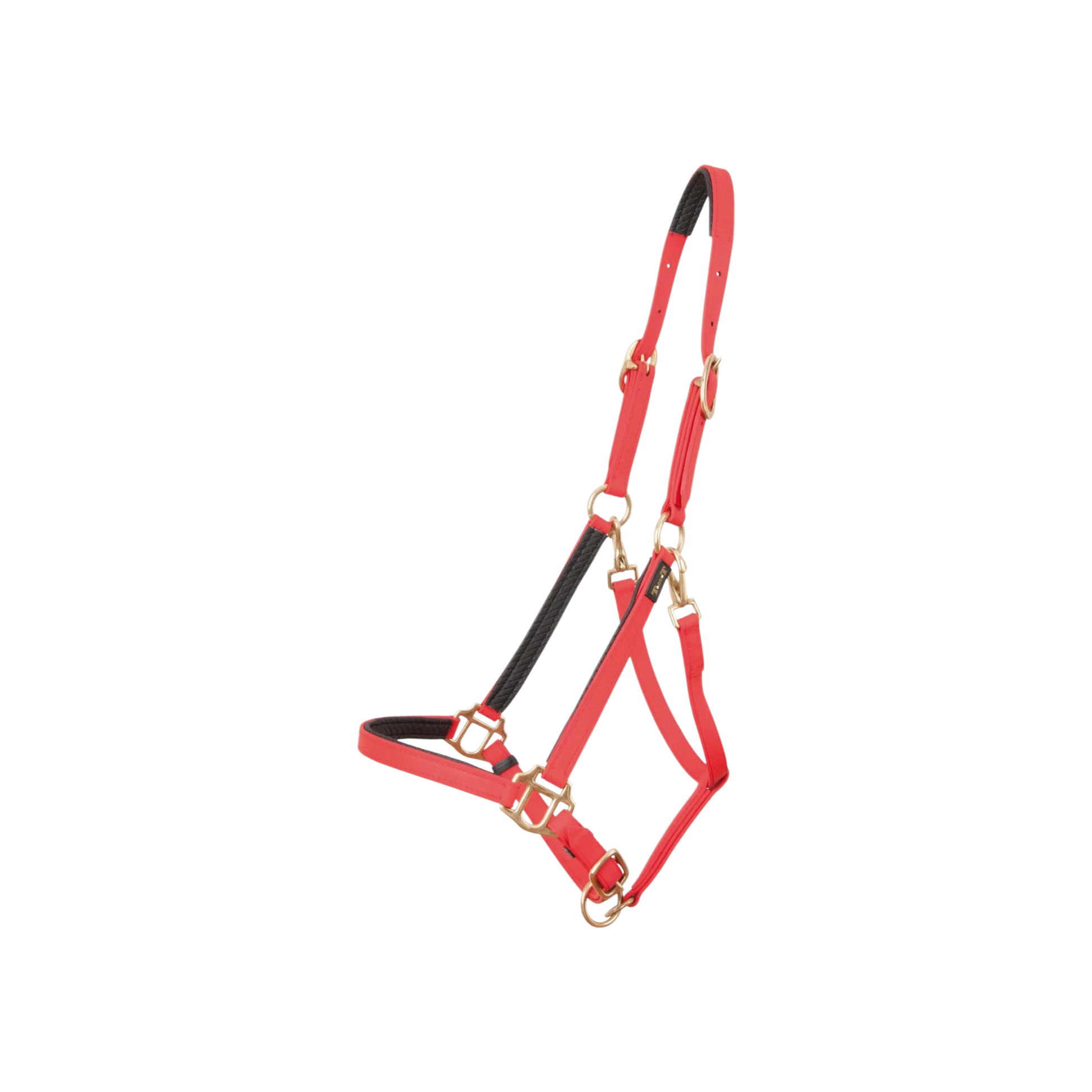 TdeT - Licol Biotack® rouge