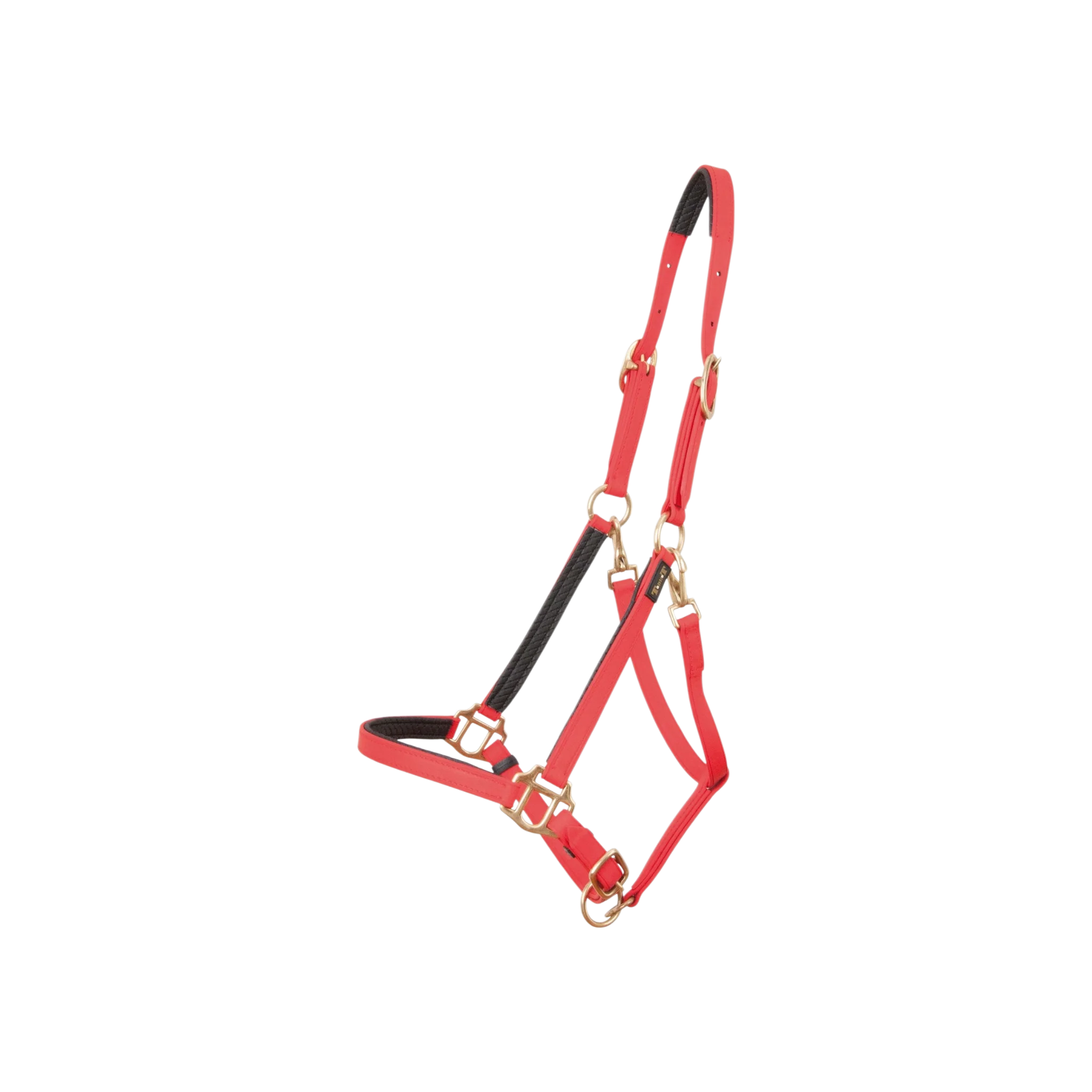 TdeT - Licol Biotack® rouge