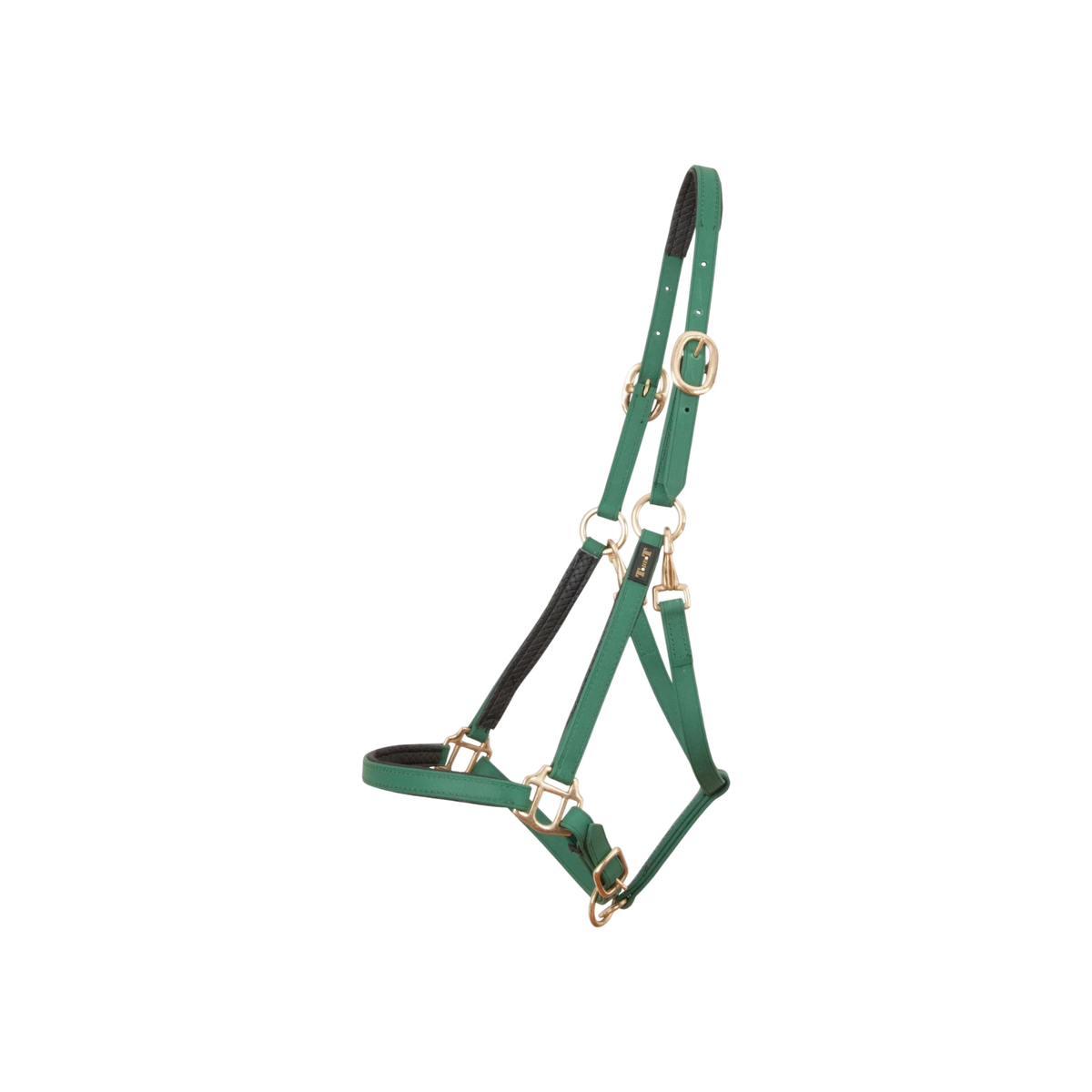 TdeT - Licol Biotack® vert foncé
