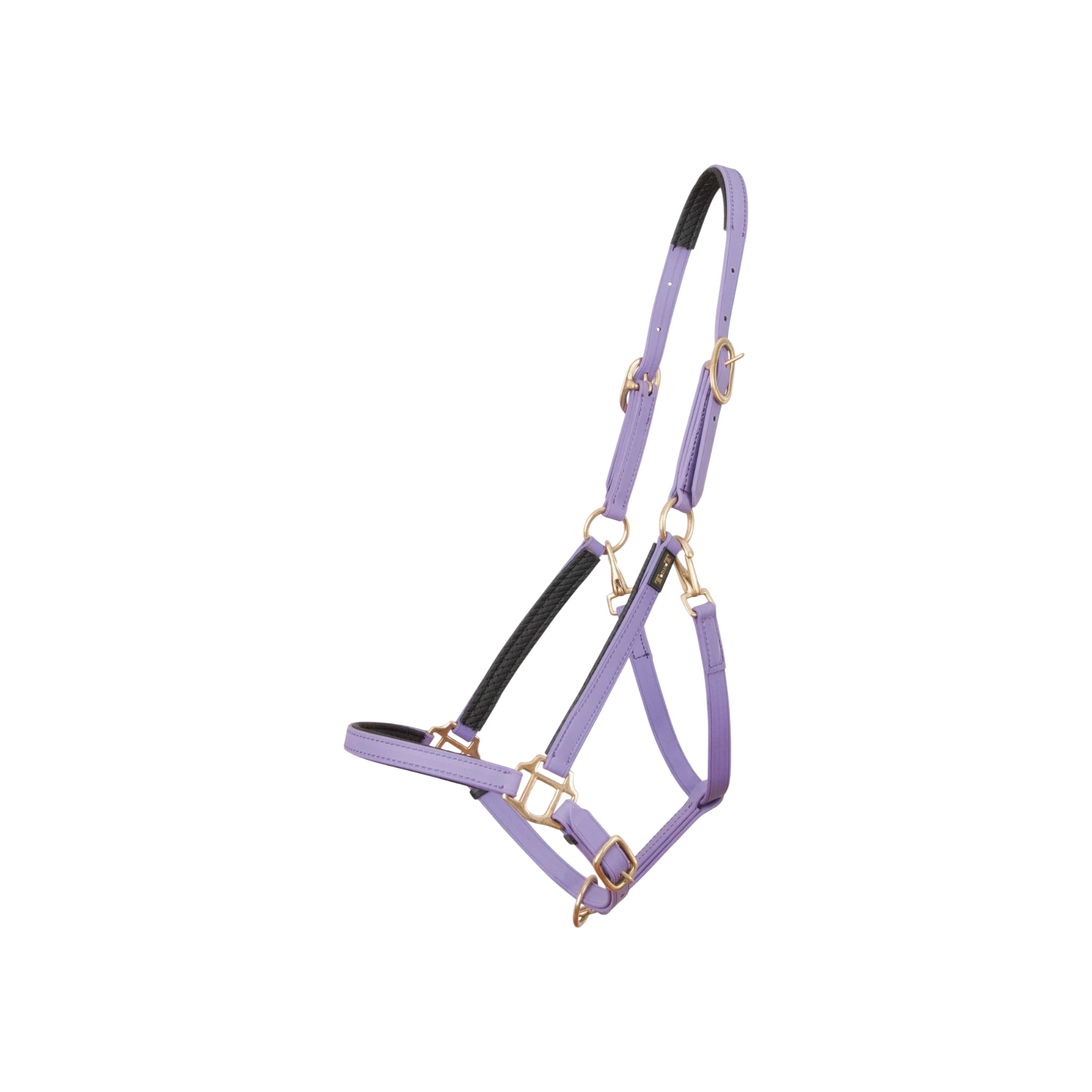 TdeT - Licol Biotack® violet