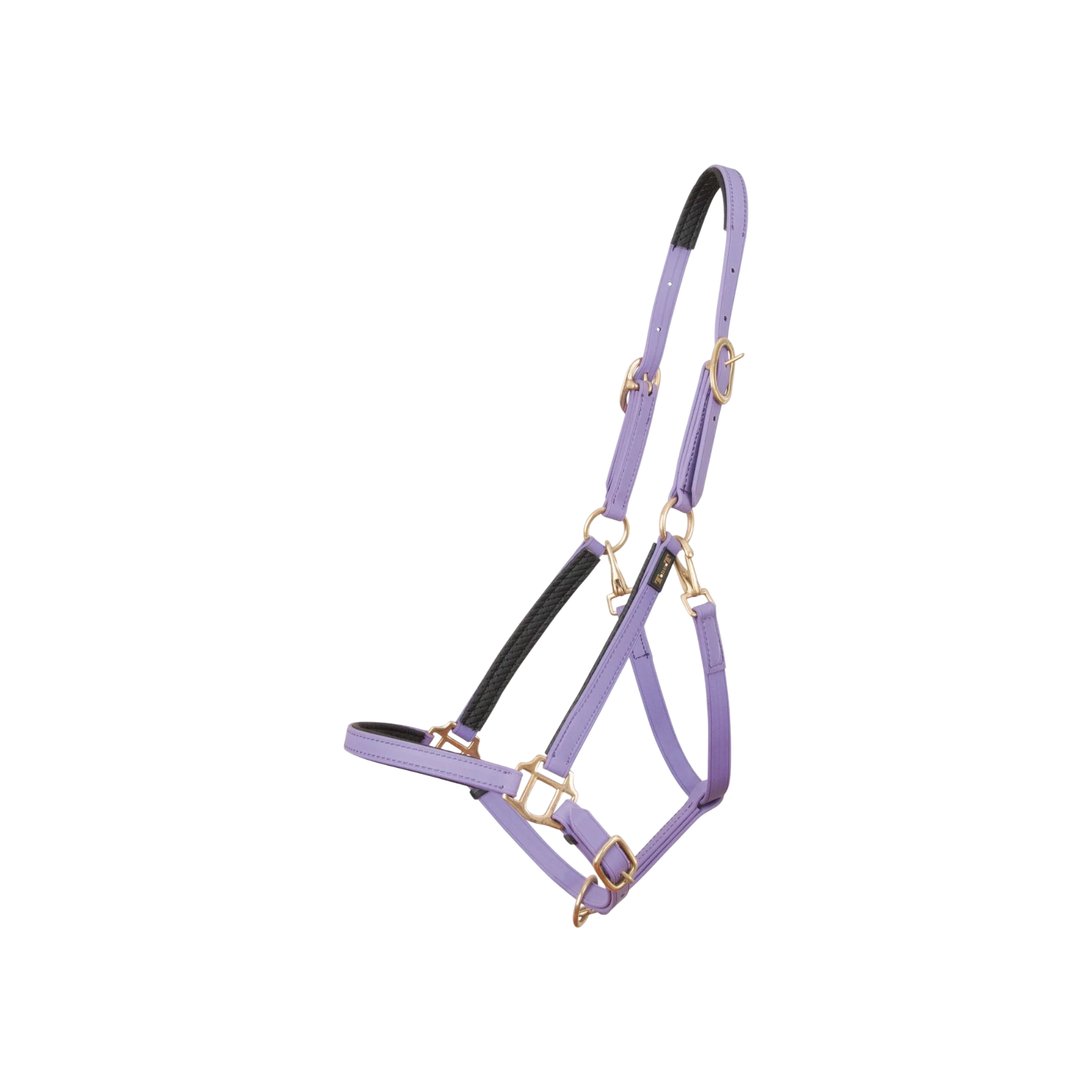 TdeT - Licol Biotack® violet