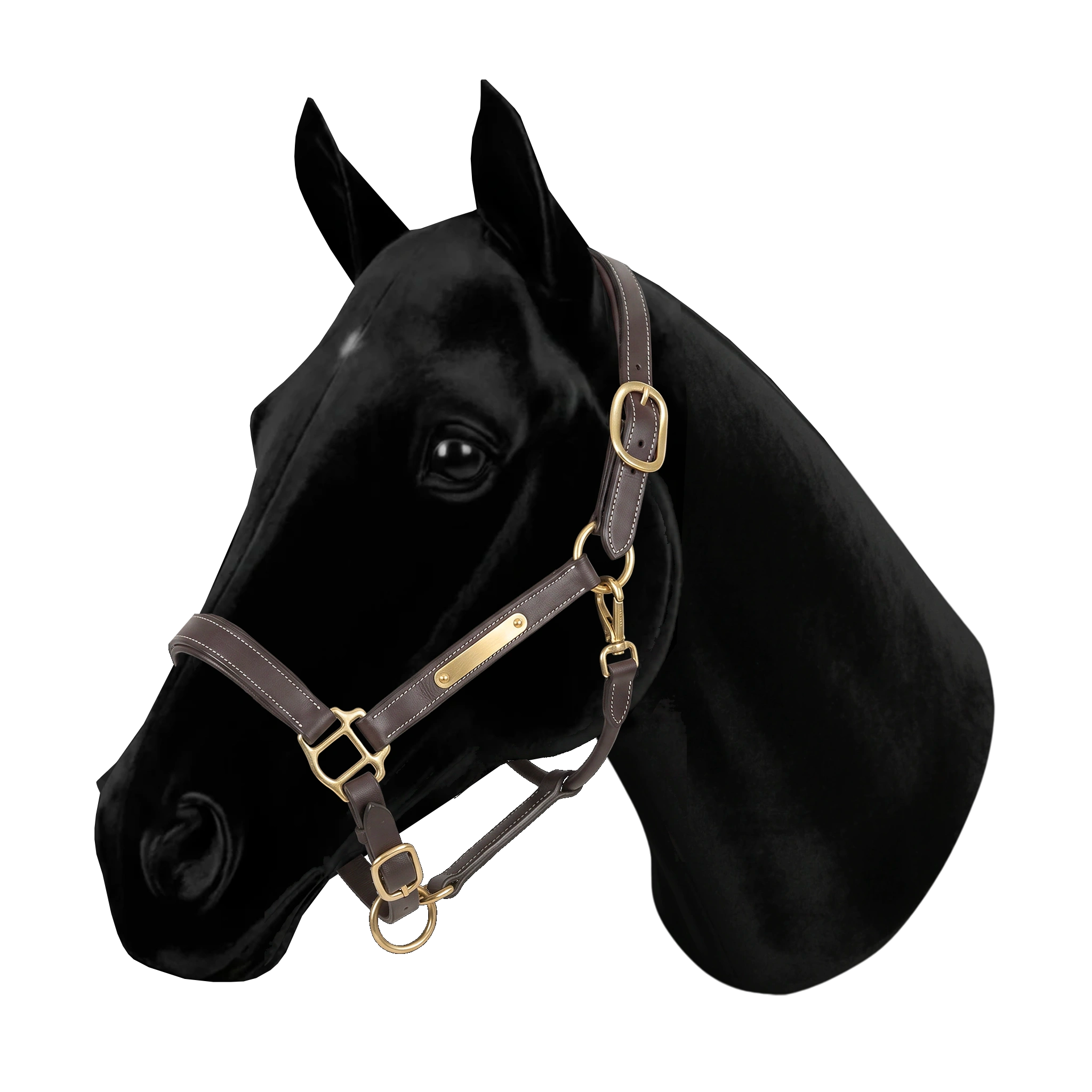 Classic leather halter