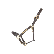 TdeT - Licol cuir classique marron foncé