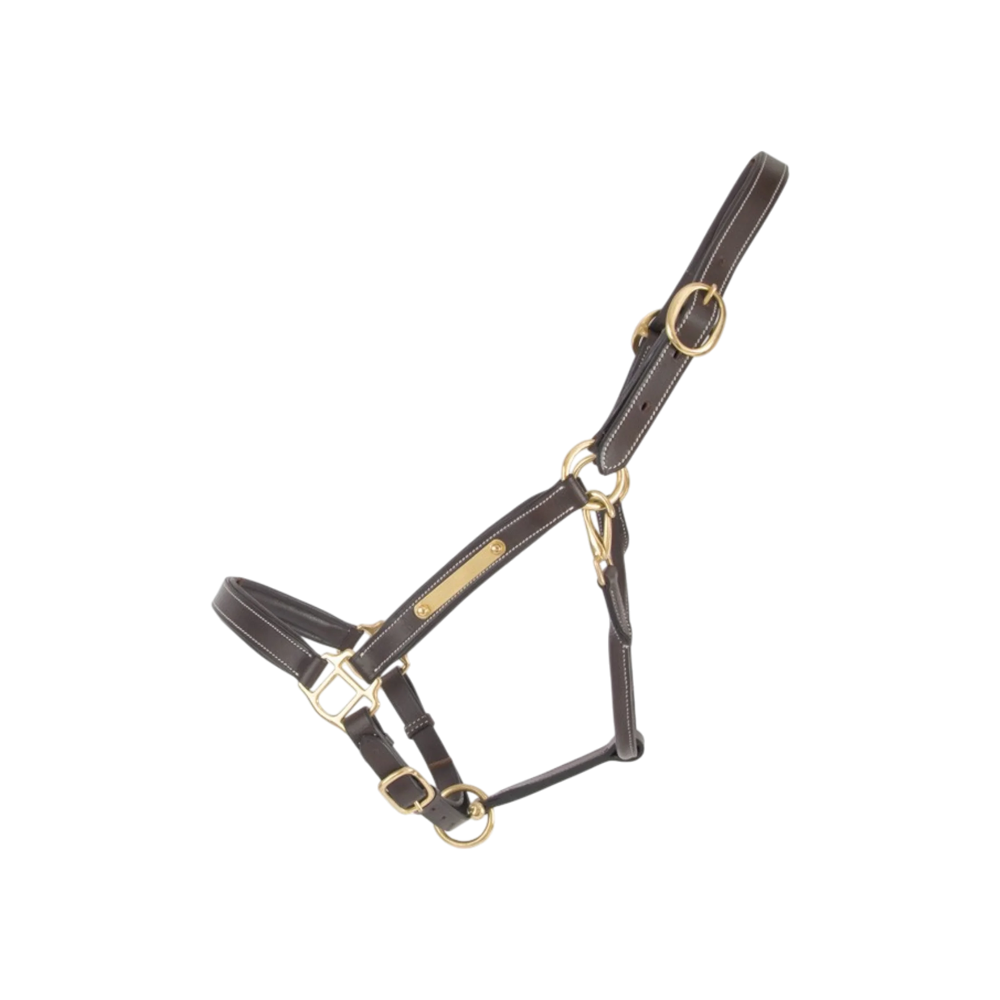 TdeT - Licol cuir classique marron foncé