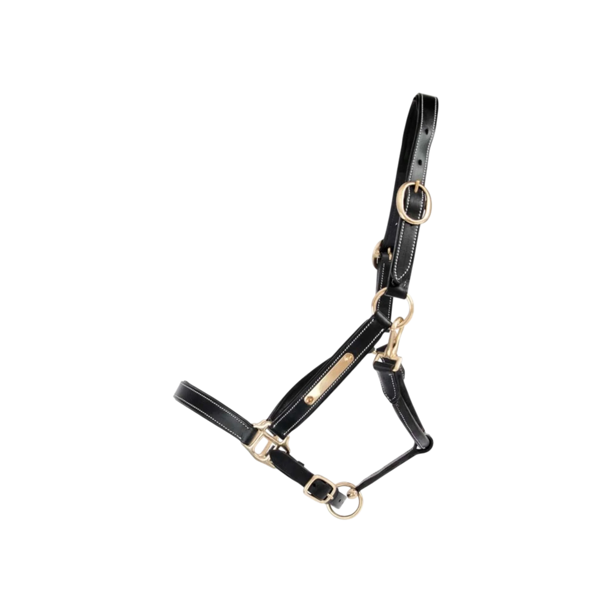 TdeT - Licol cuir classique noir