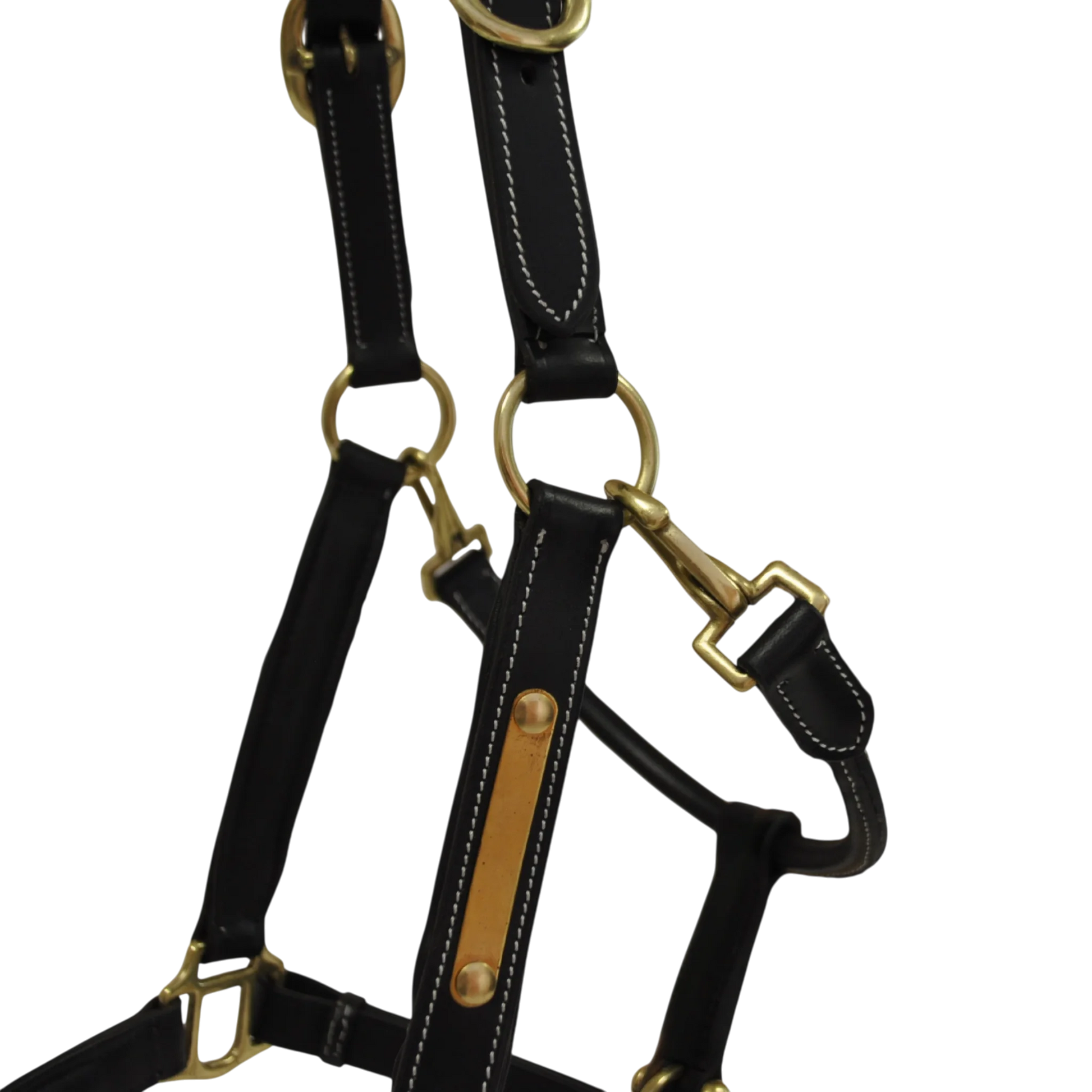 TdeT - Licol cuir classique noir