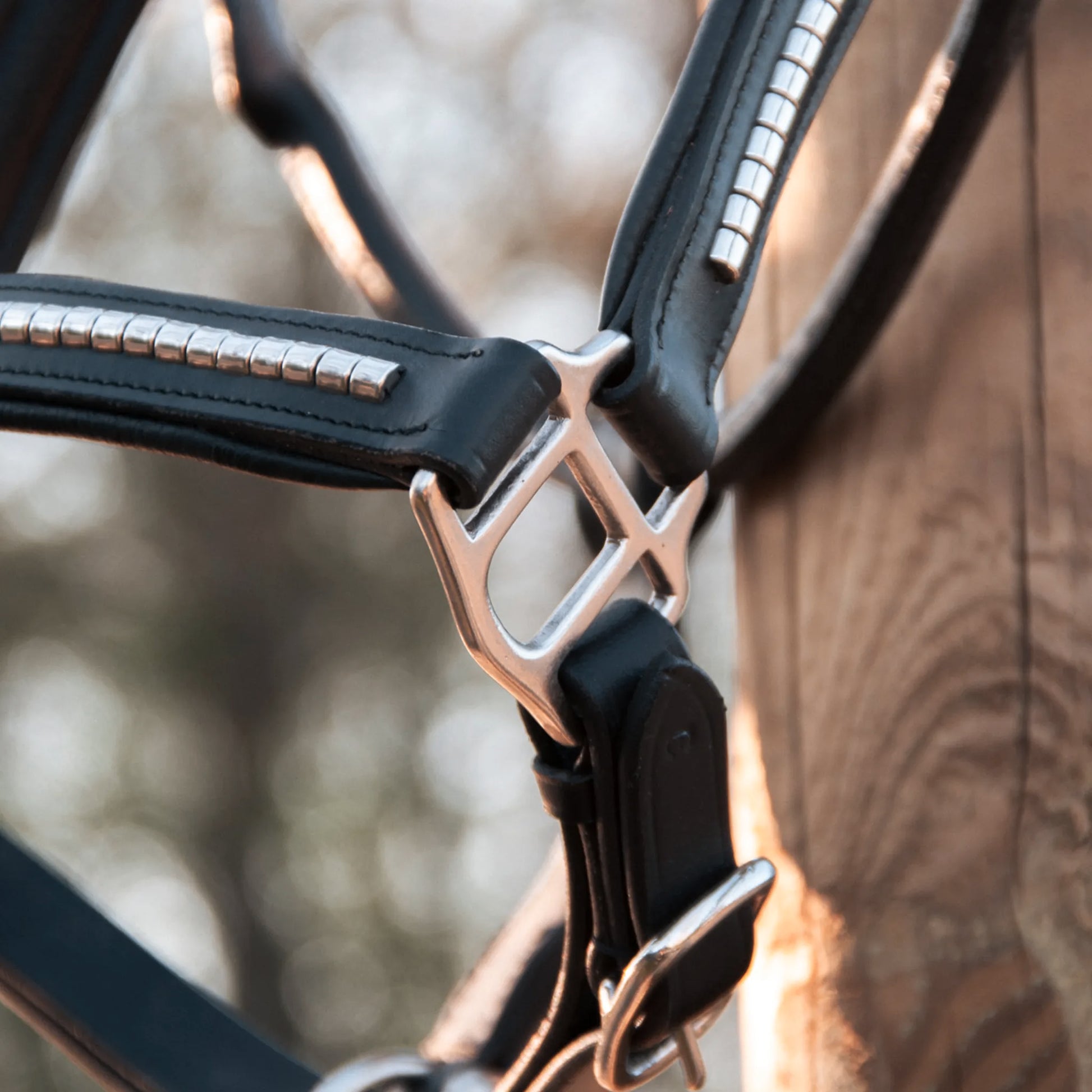 TdeT - Clincher leather halter black/white