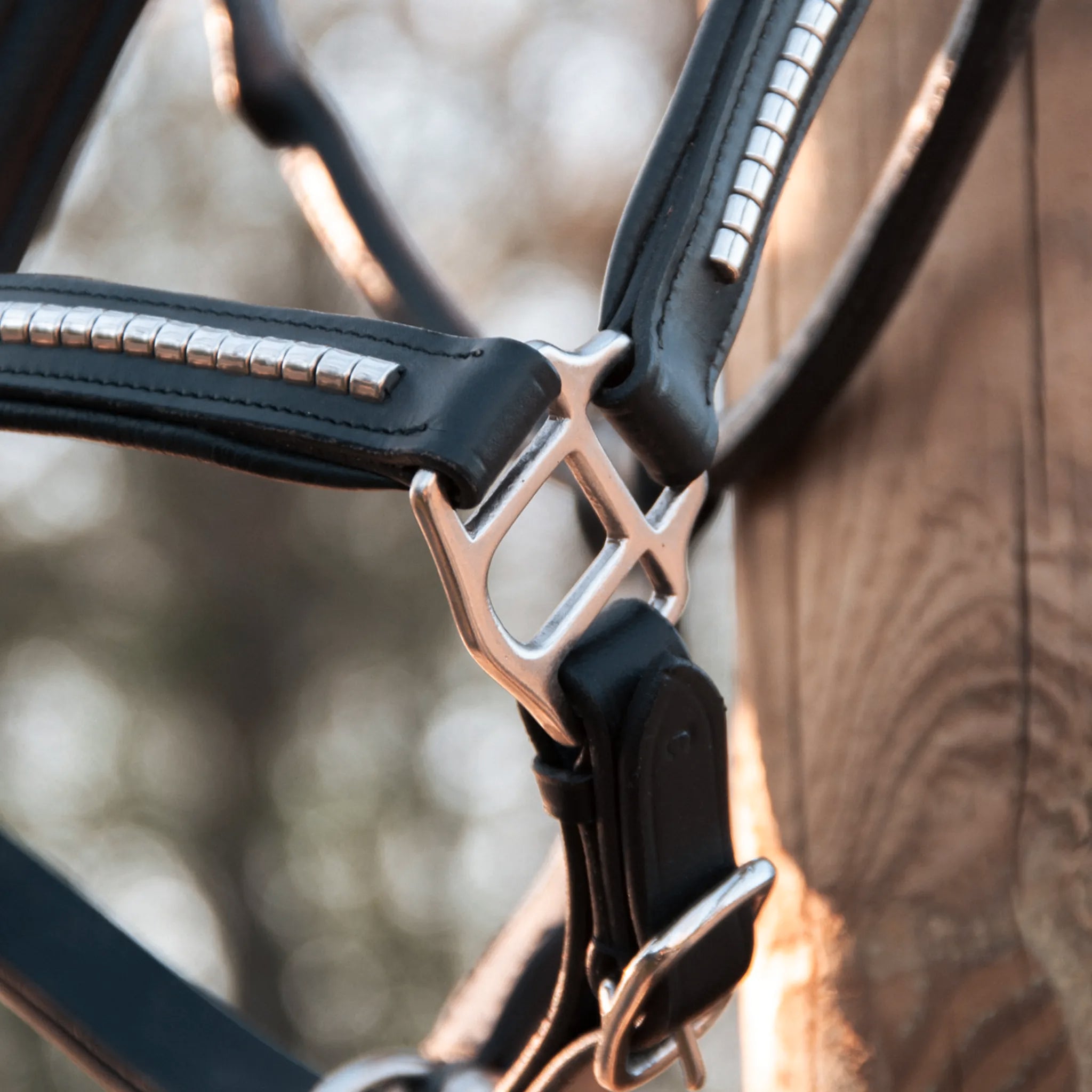 TdeT - Clincher leather halter black/white