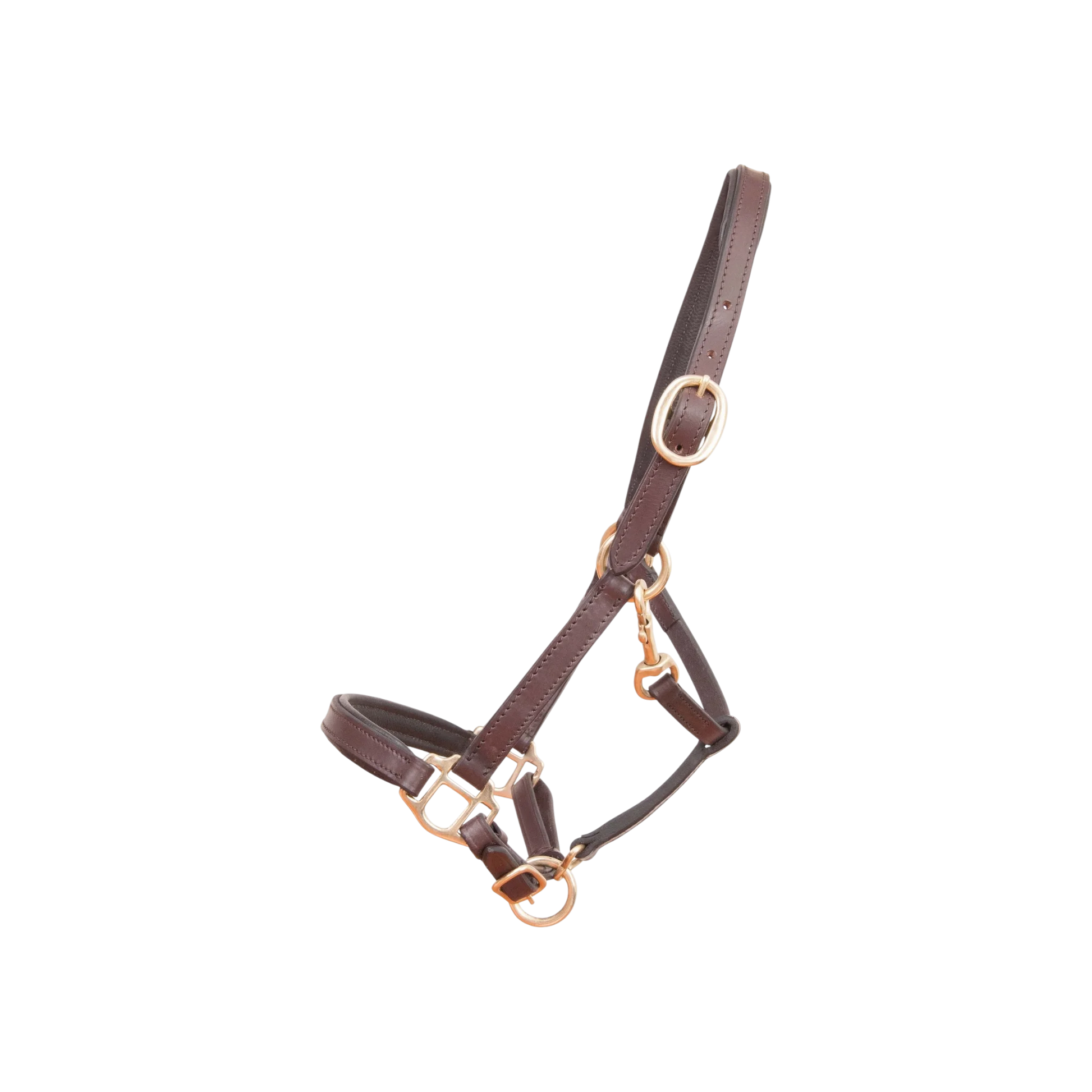 TdeT - Foal leather halter dark brown