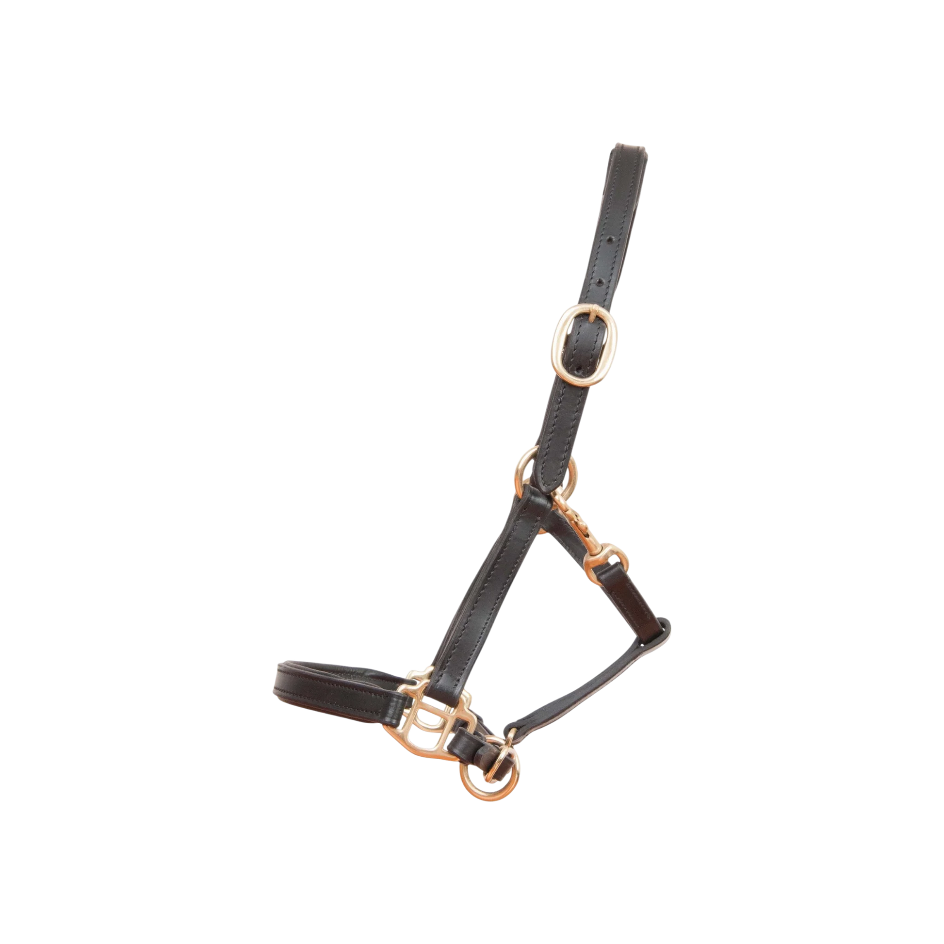 TdeT - Foal leather halter black