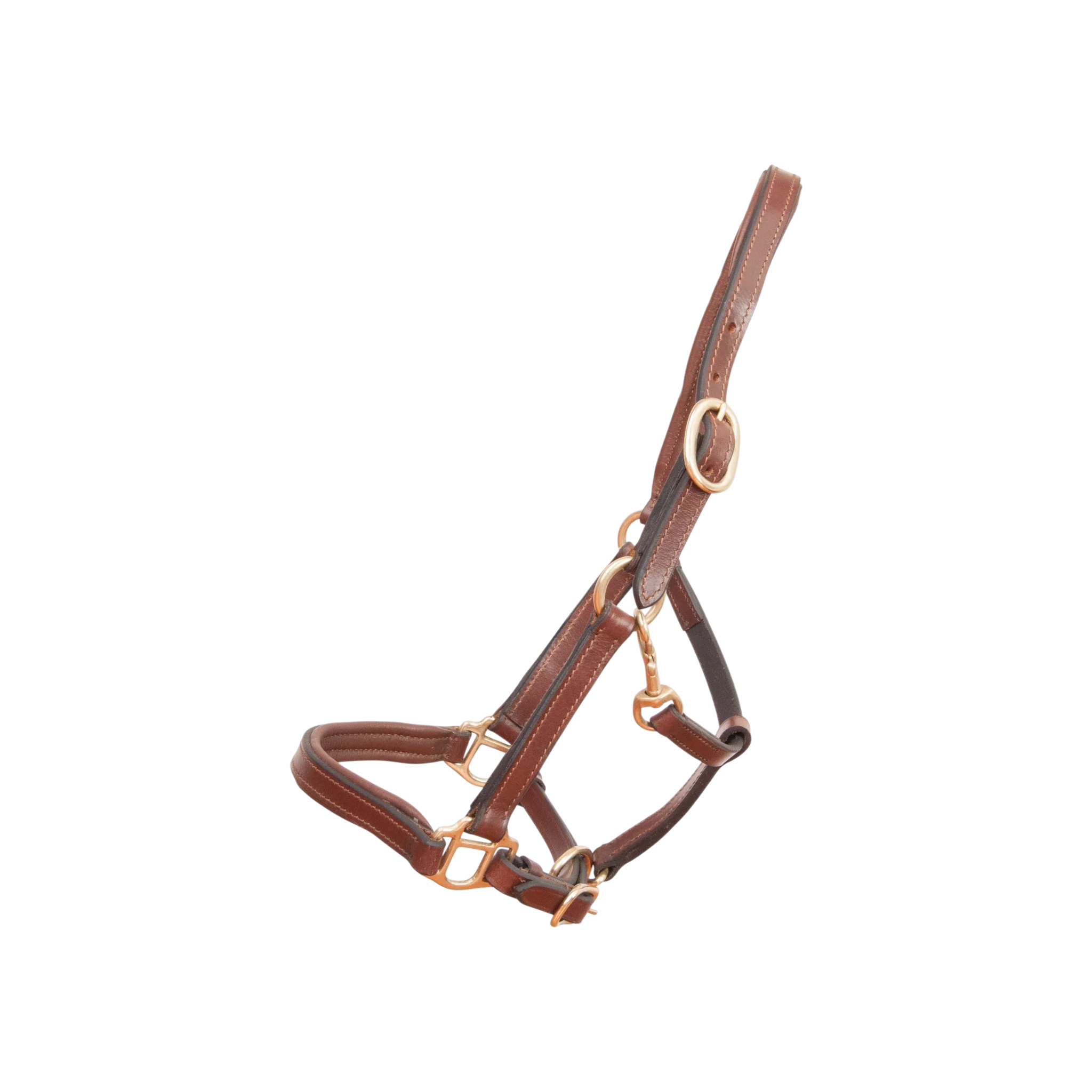 TdeT - Foal leather halter tobacco