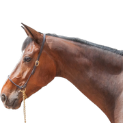 TdeT - Licol cuir présentation havane foncé