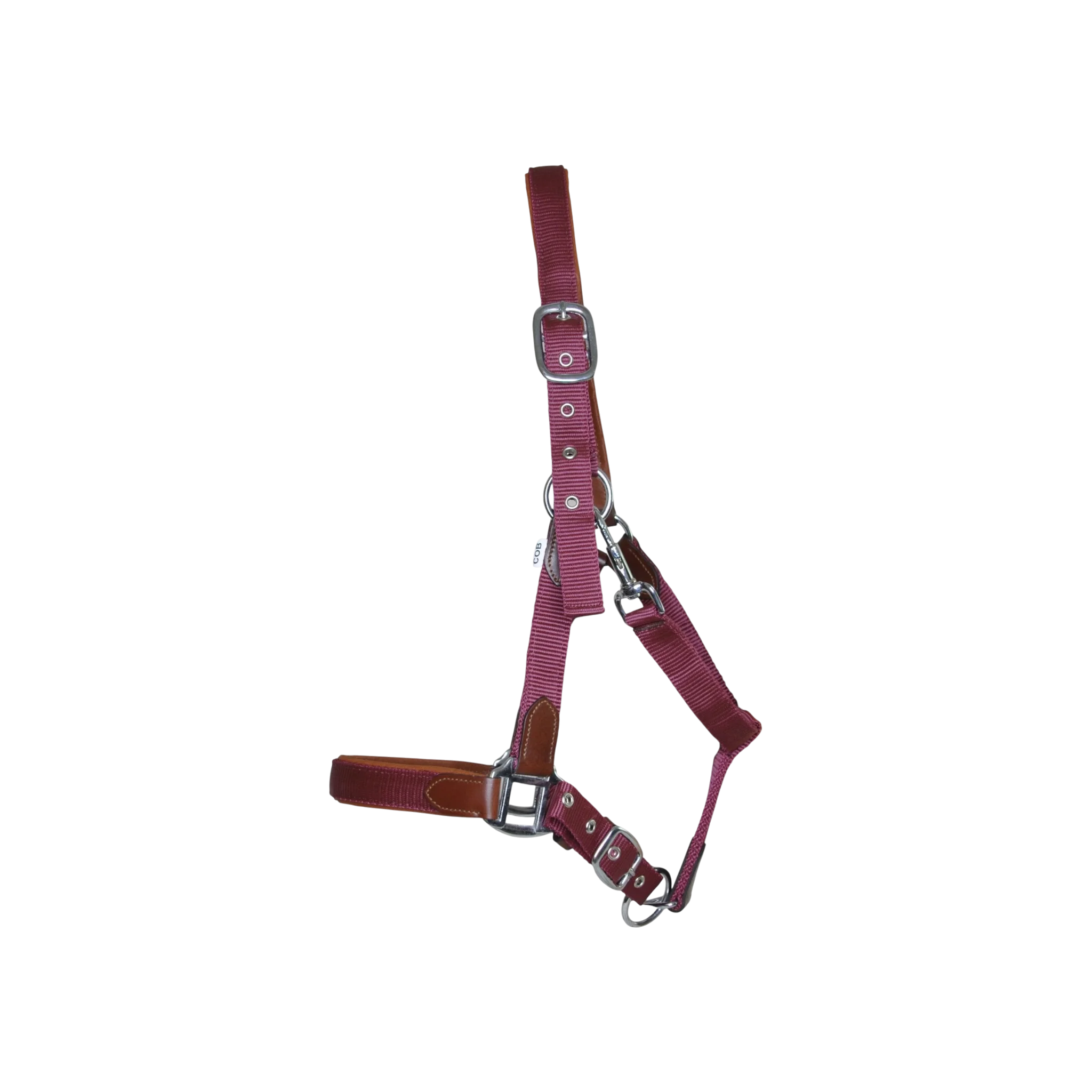 TdeT - Licol cuir et sangle bordeaux