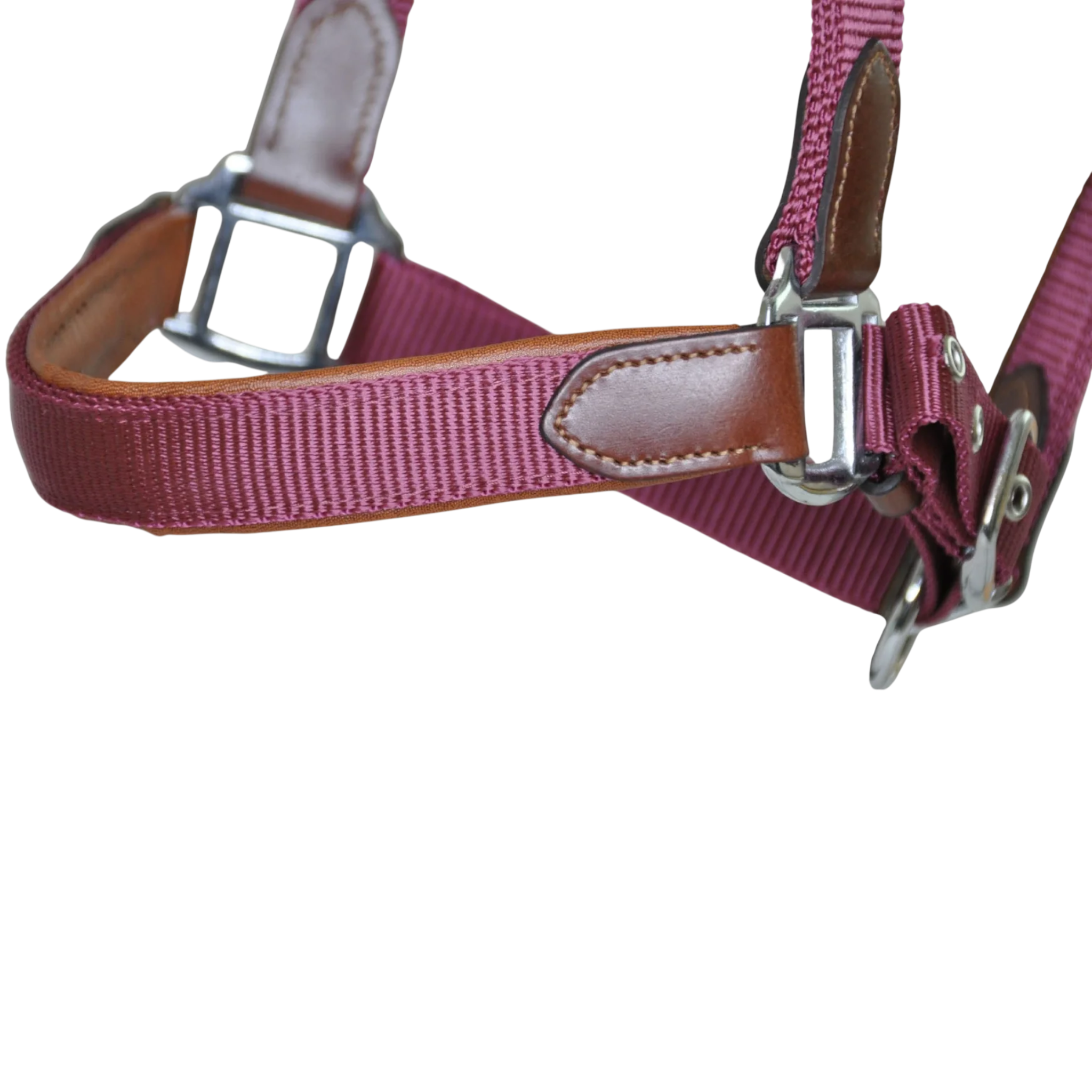 TdeT - Licol cuir et sangle bordeaux